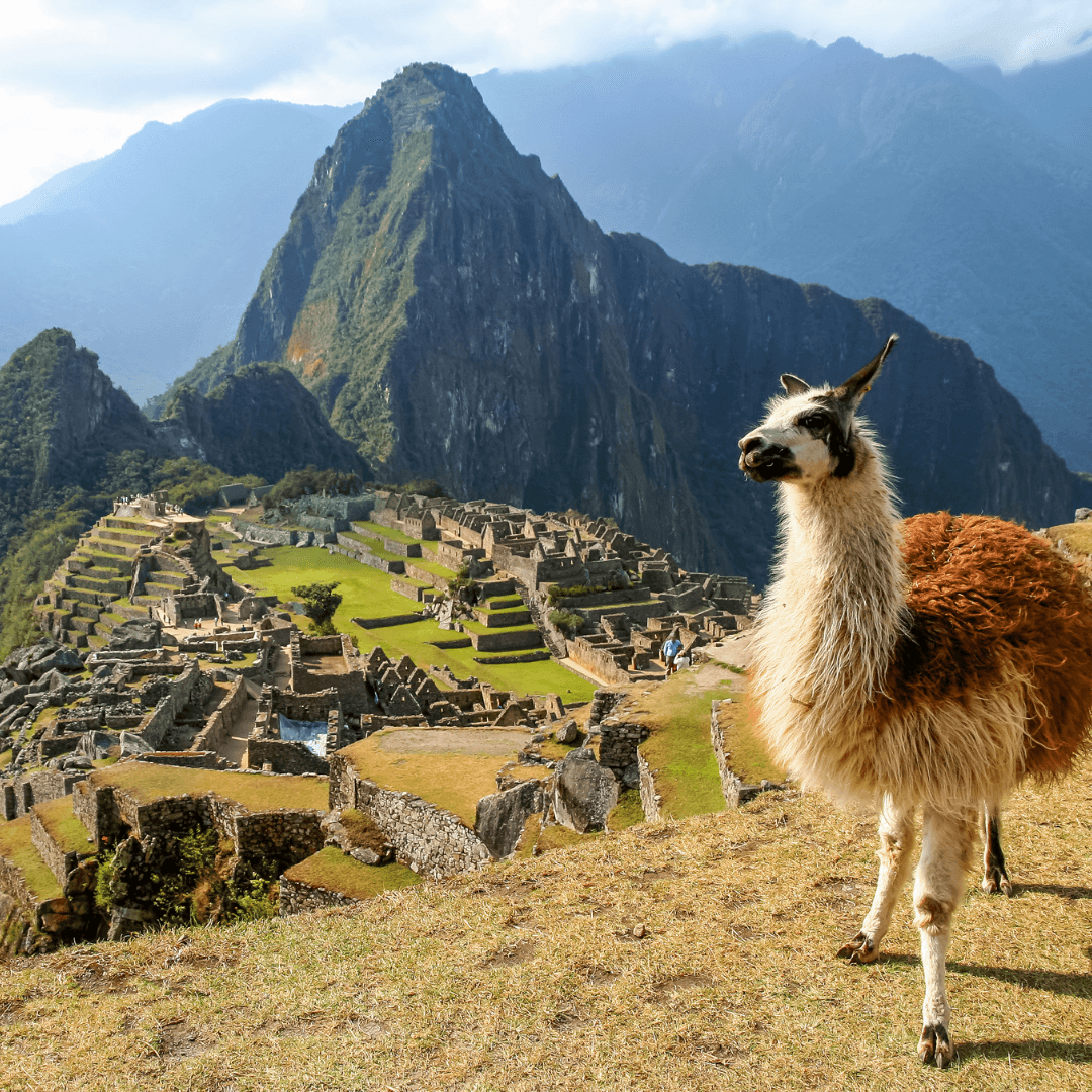 macchu pichu panoramic