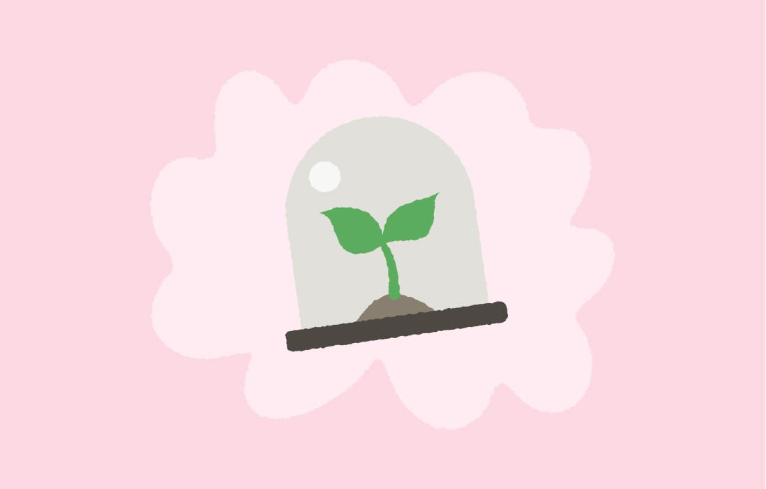 incubation projets