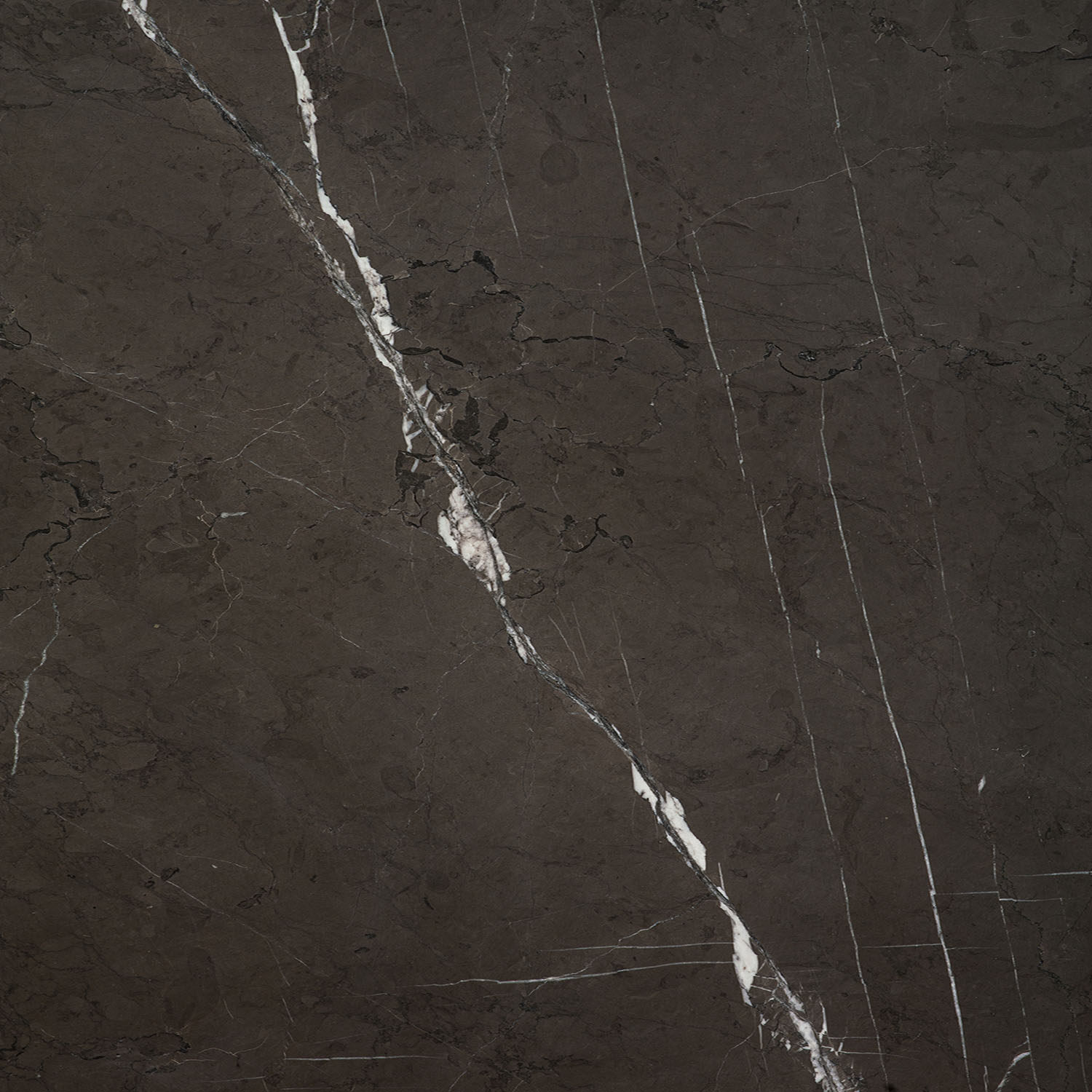 Smooth marble surface with diagonal veining