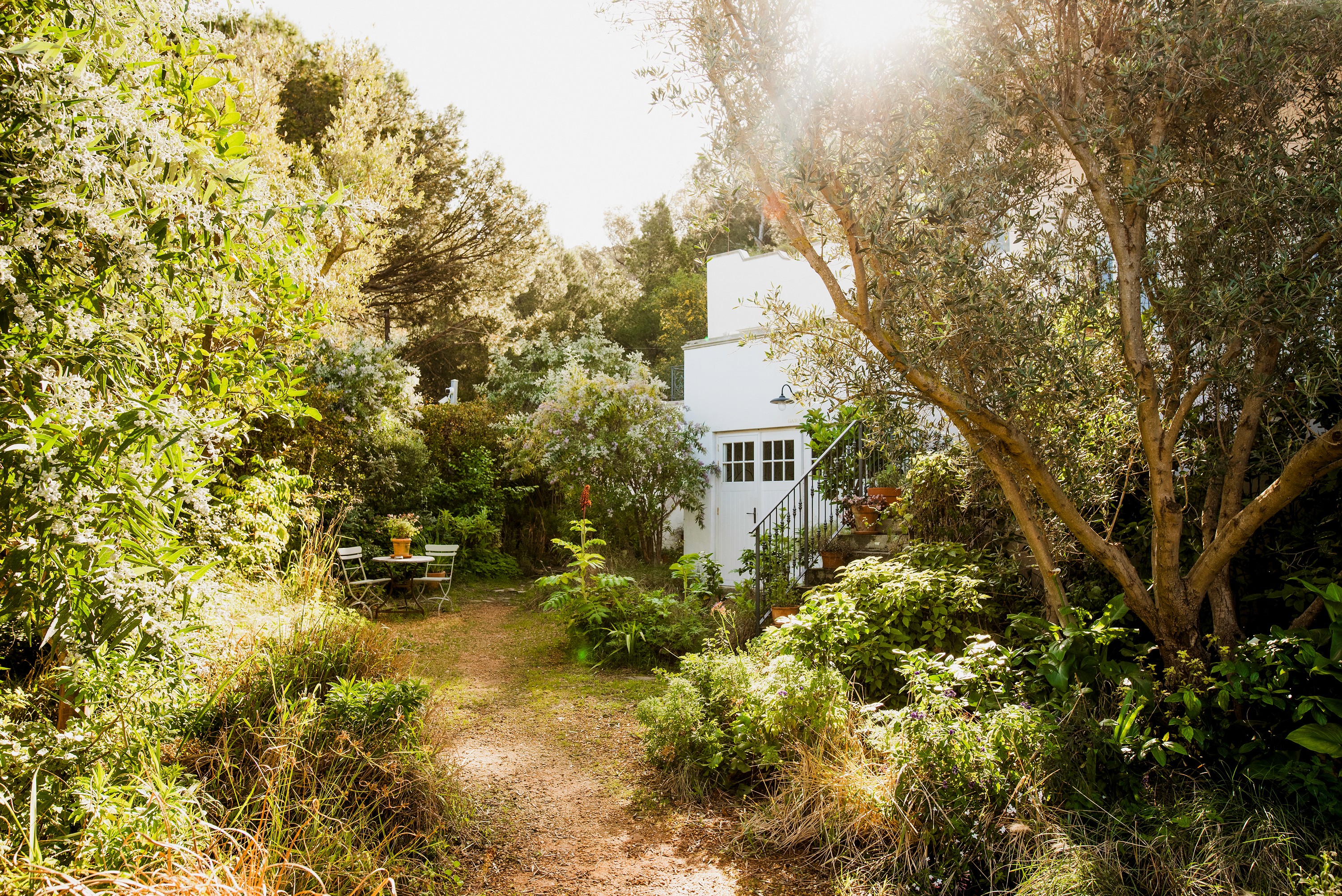 Garden Area, Dorp Hotel, Cape Town, aesplore, Cape Town & Safari