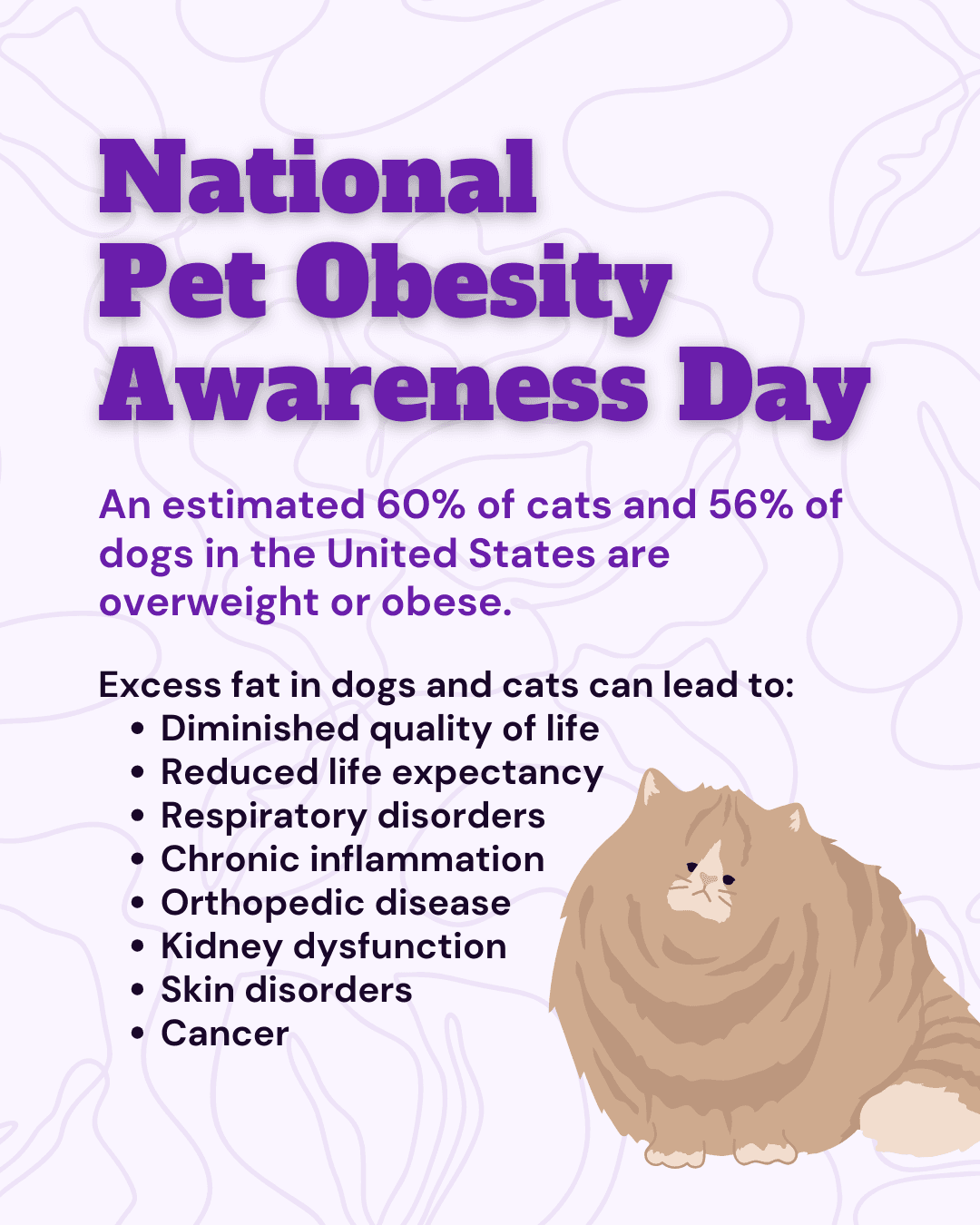 National Pet Obesity Awareness Day