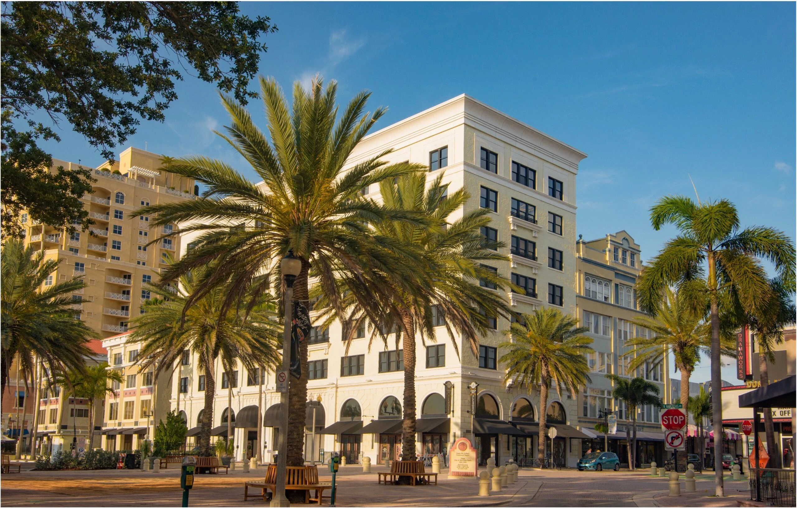Street scene with tall palm trees lining a plaza surrounded by white and beige buildings under a clear blue sky, conveying a sunny, relaxed atmosphere.