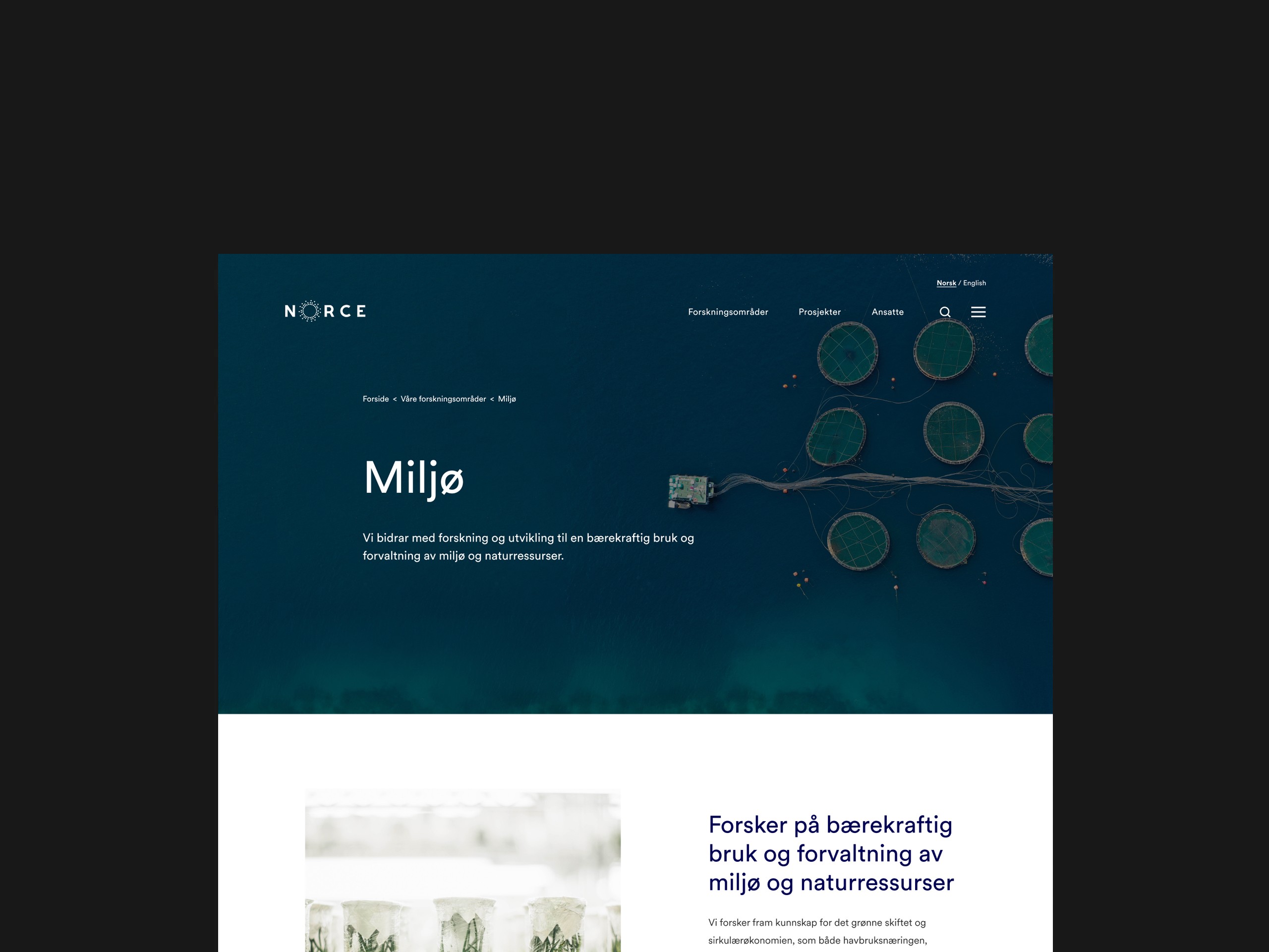 A screenshot of the our staff page