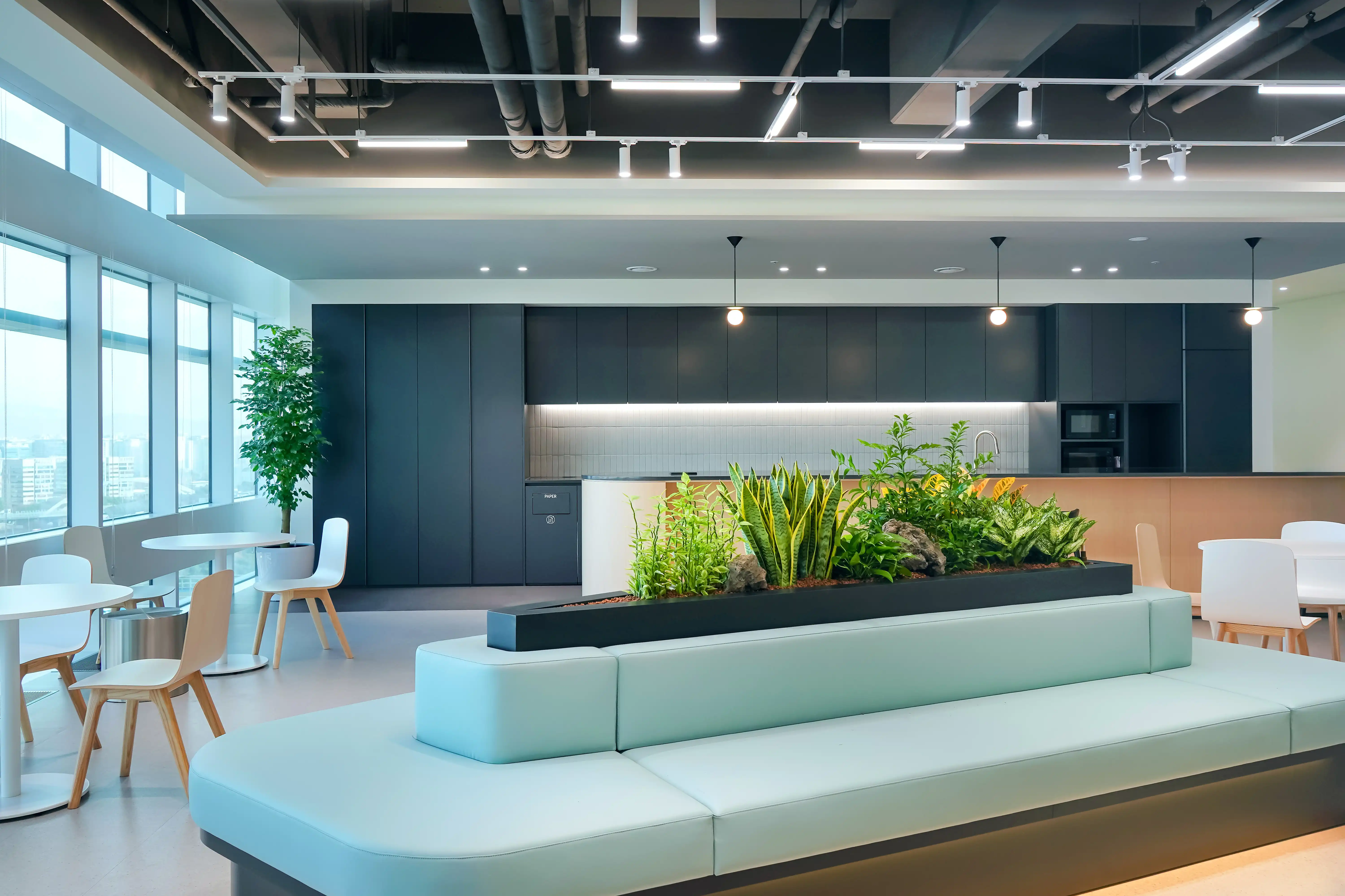 라운지에 조성된 식물인테리어