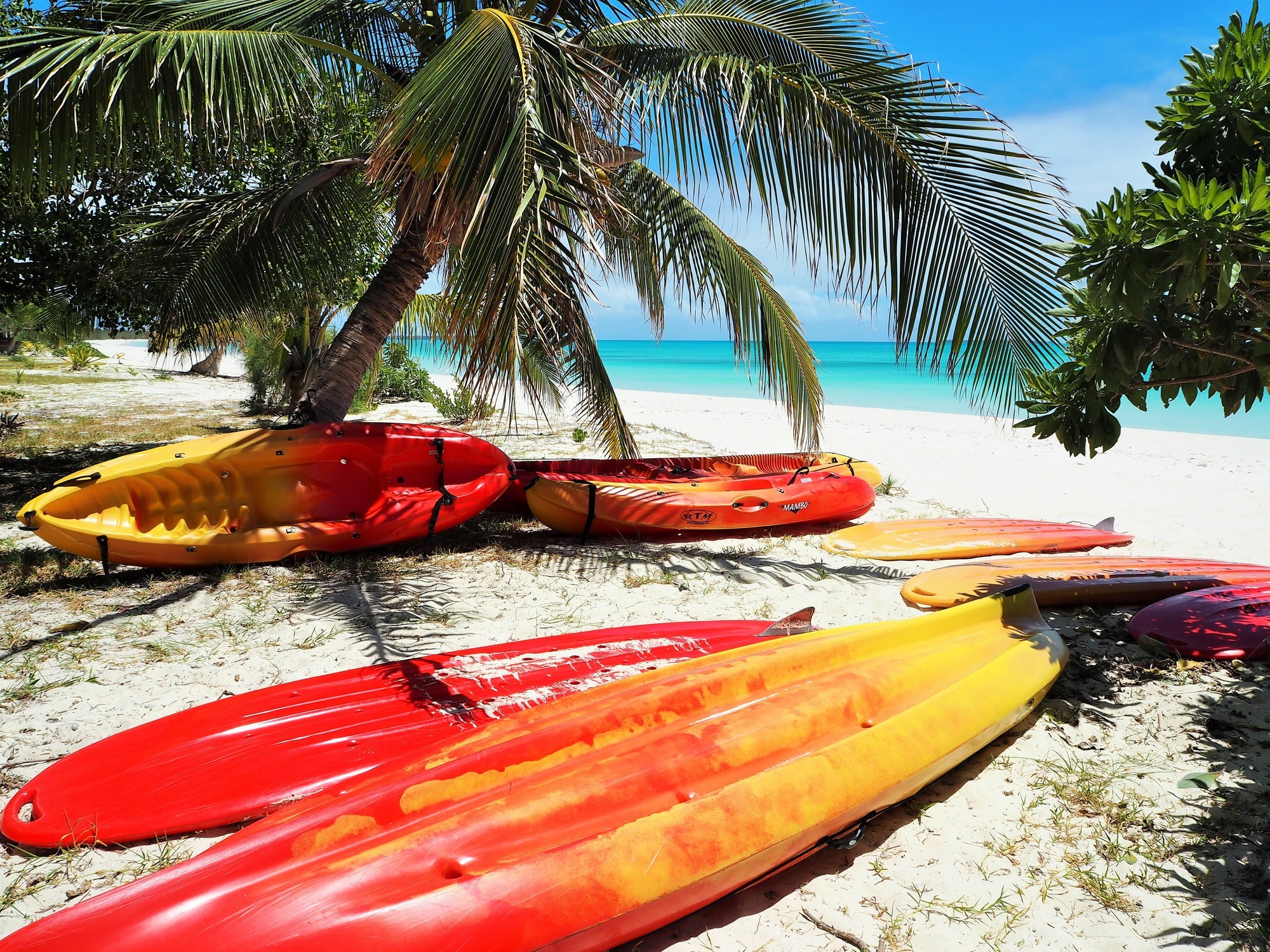 2 person riding on red kayak on body of water during daytime