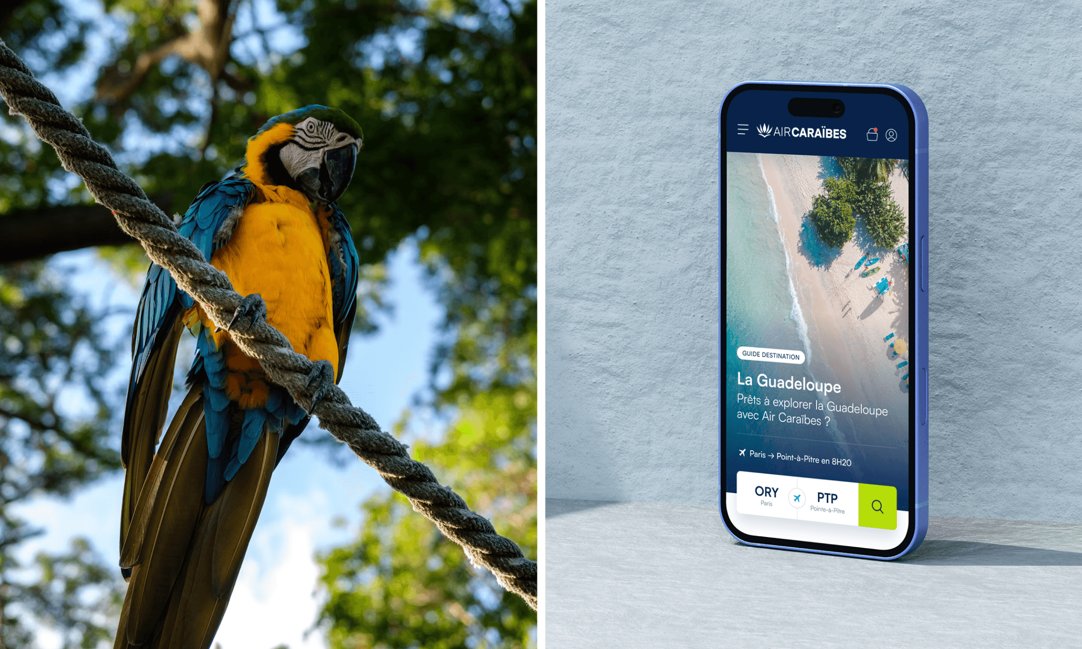 Image with the app presentation