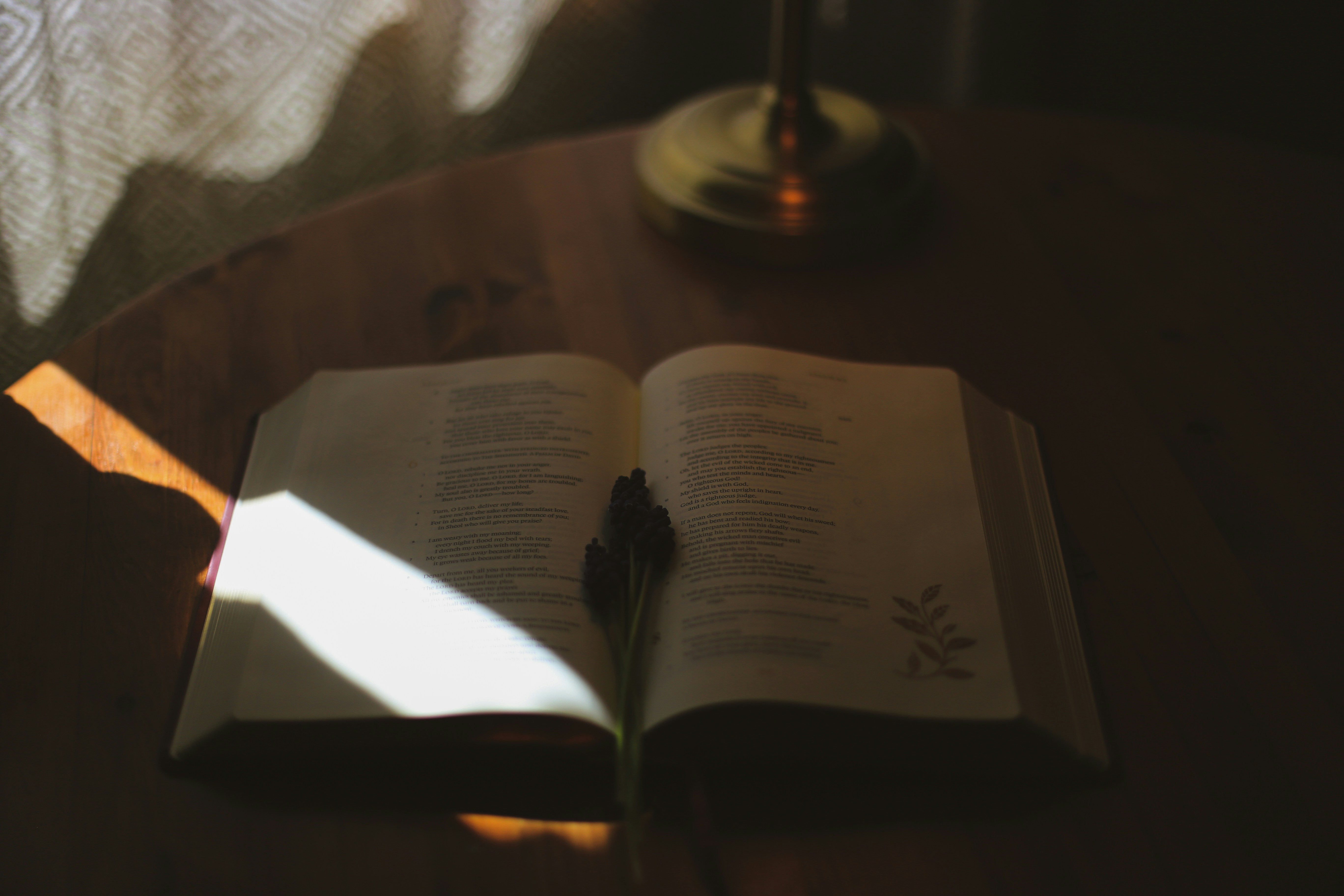 Open book with a flower on a table