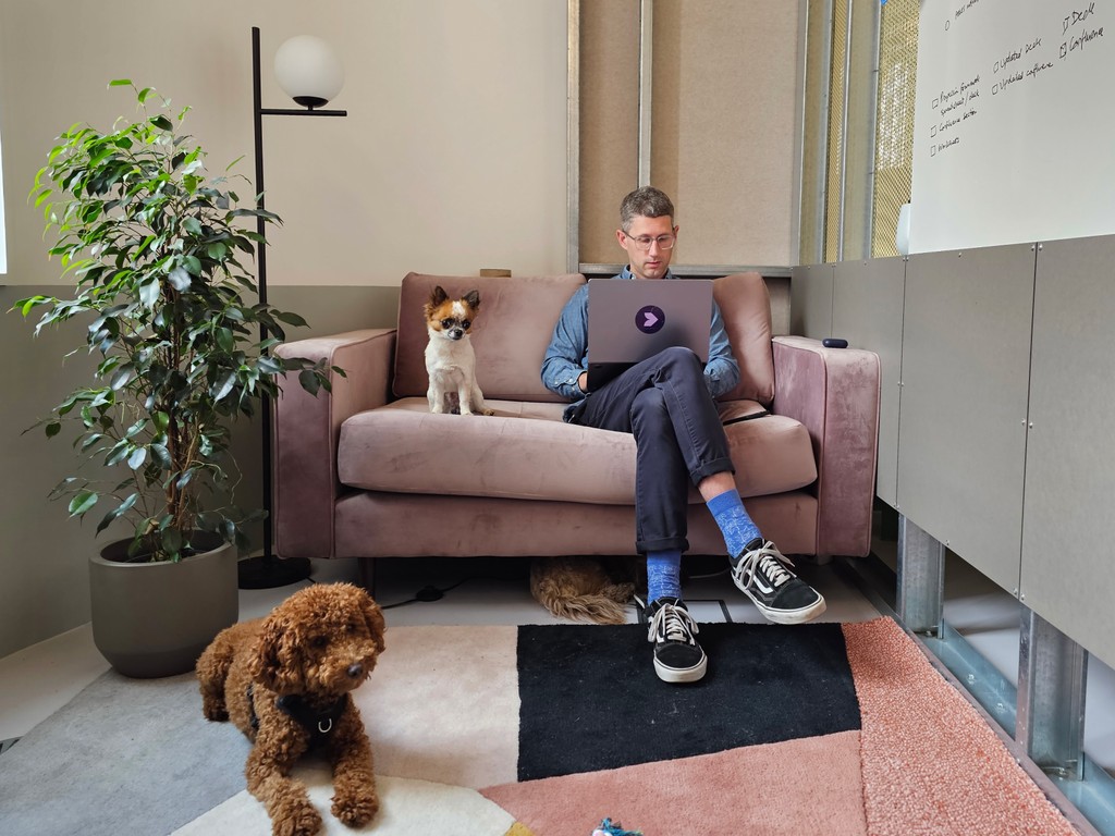Stephen sitting on the sofa in the Cosmic office working on his laptop with two dogs lounging near him
