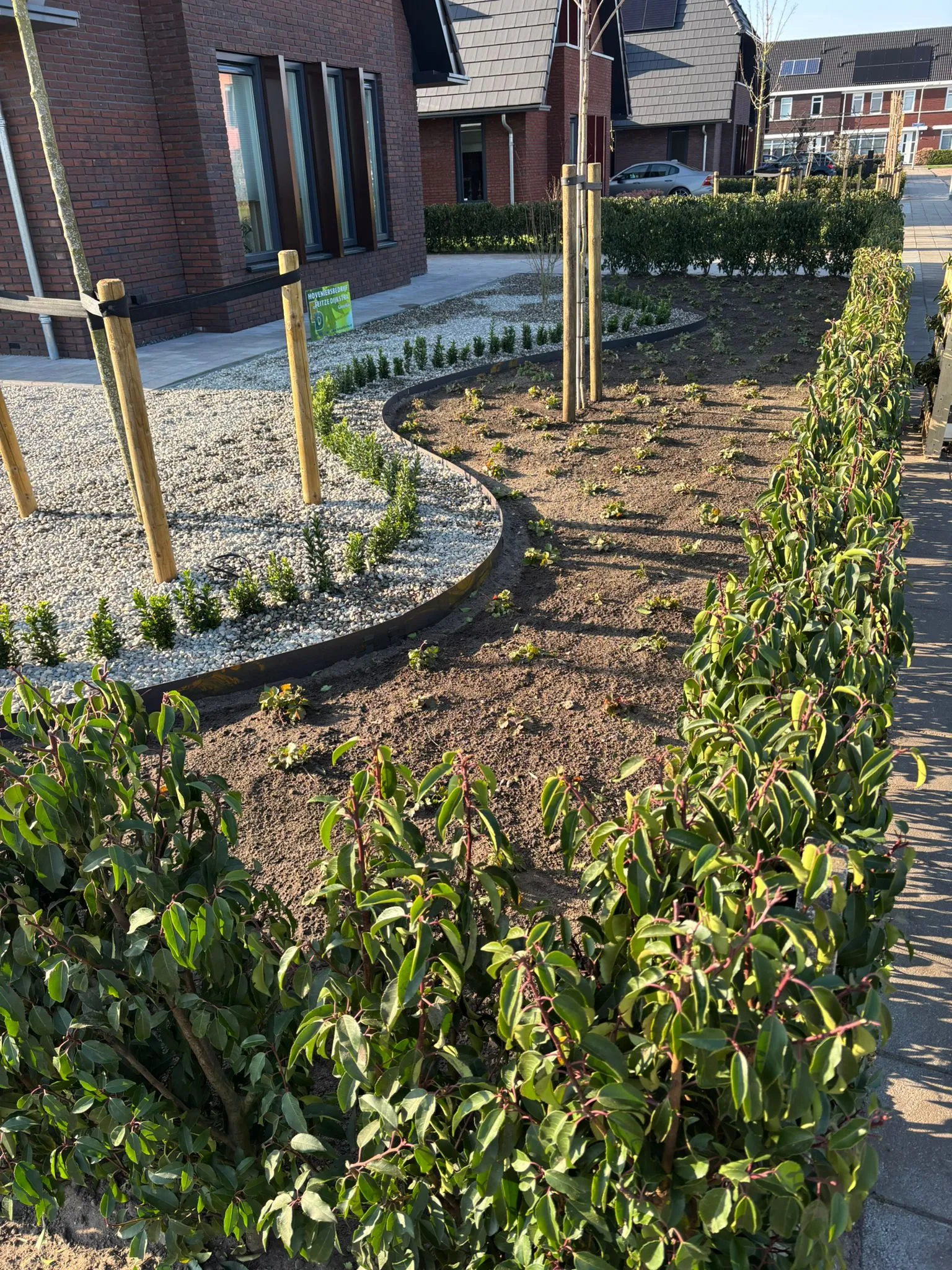 Strakke Japanse tuin met jonge haagplanten, jonge boompjes, grind en organische vormen bij nieuwbouwwoning in Gorredijk.
