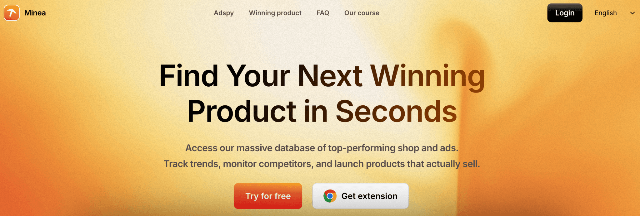  Ad Spy and Product Discovery tool