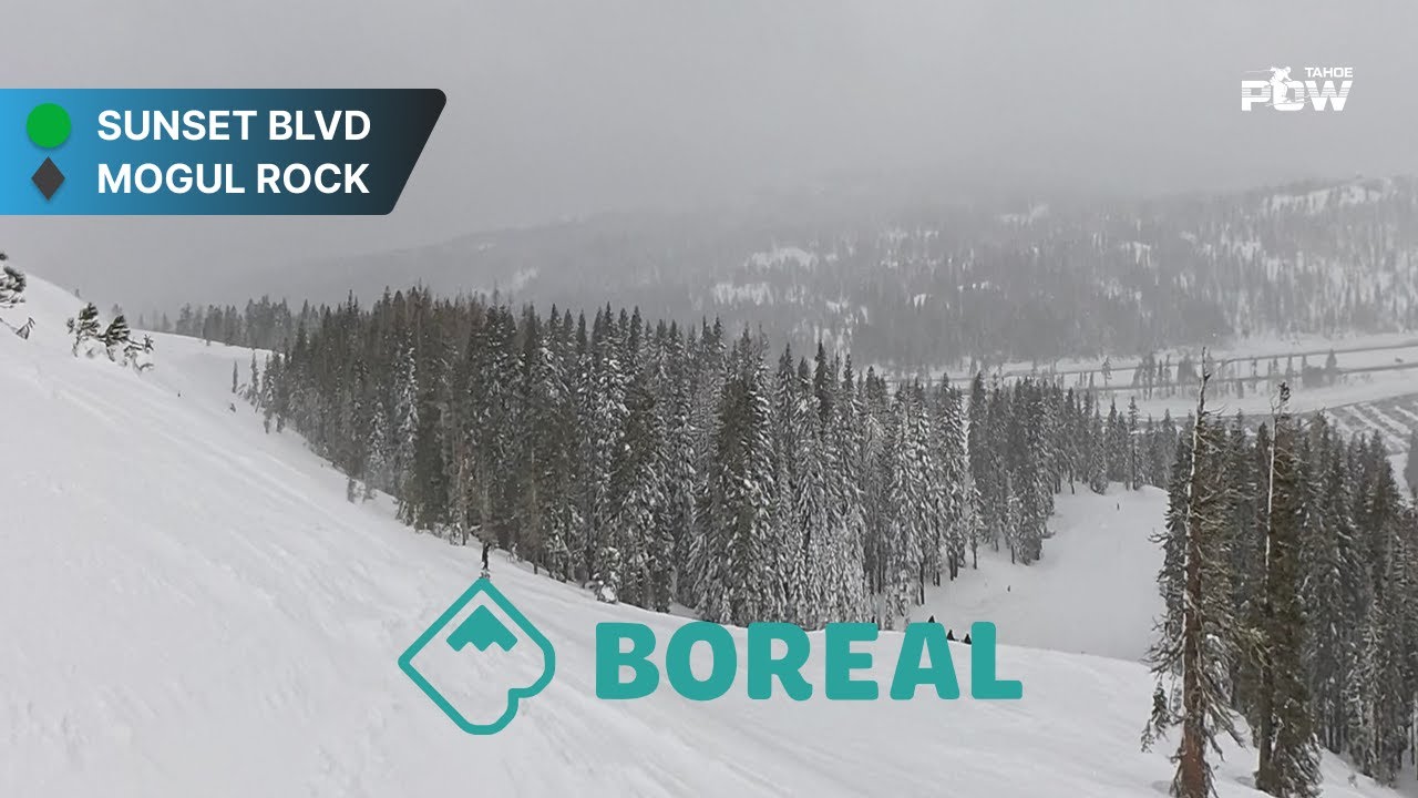 Sunset Blvd to Mogul Rock Boreal – Beginner to Advanced Run via 49er Lift