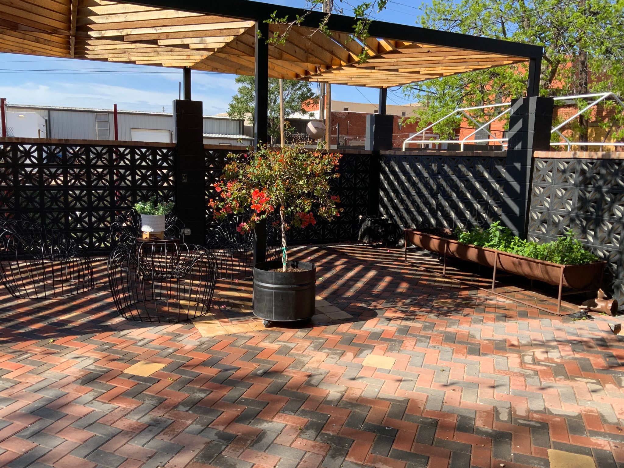 The outdoor garden space at the back of the Loose Latigo studio. There is a large purgola and lots of plants.