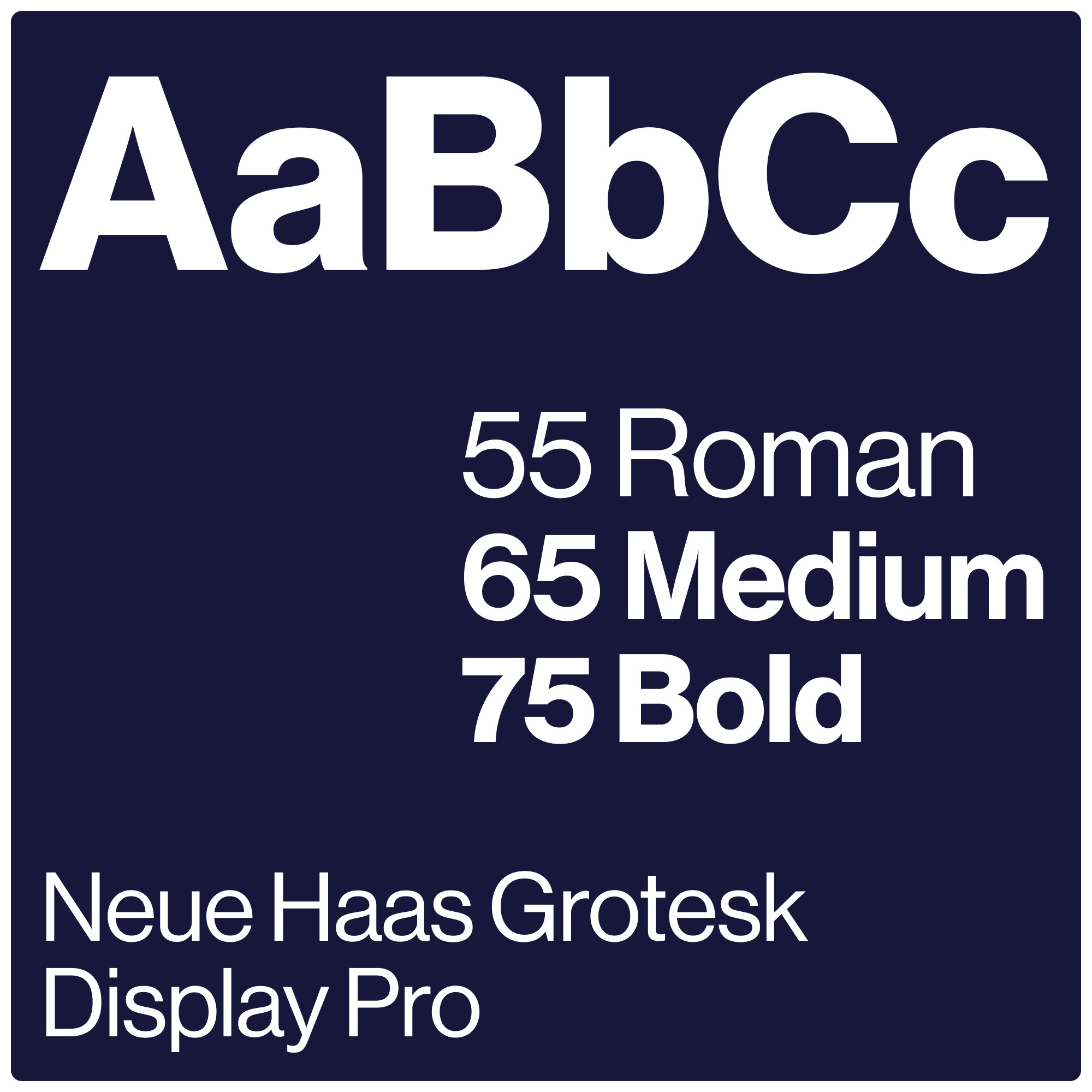 Project Gallery Image for 50% width of the screen #2