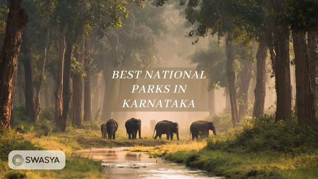  Best National Parks in Karnataka