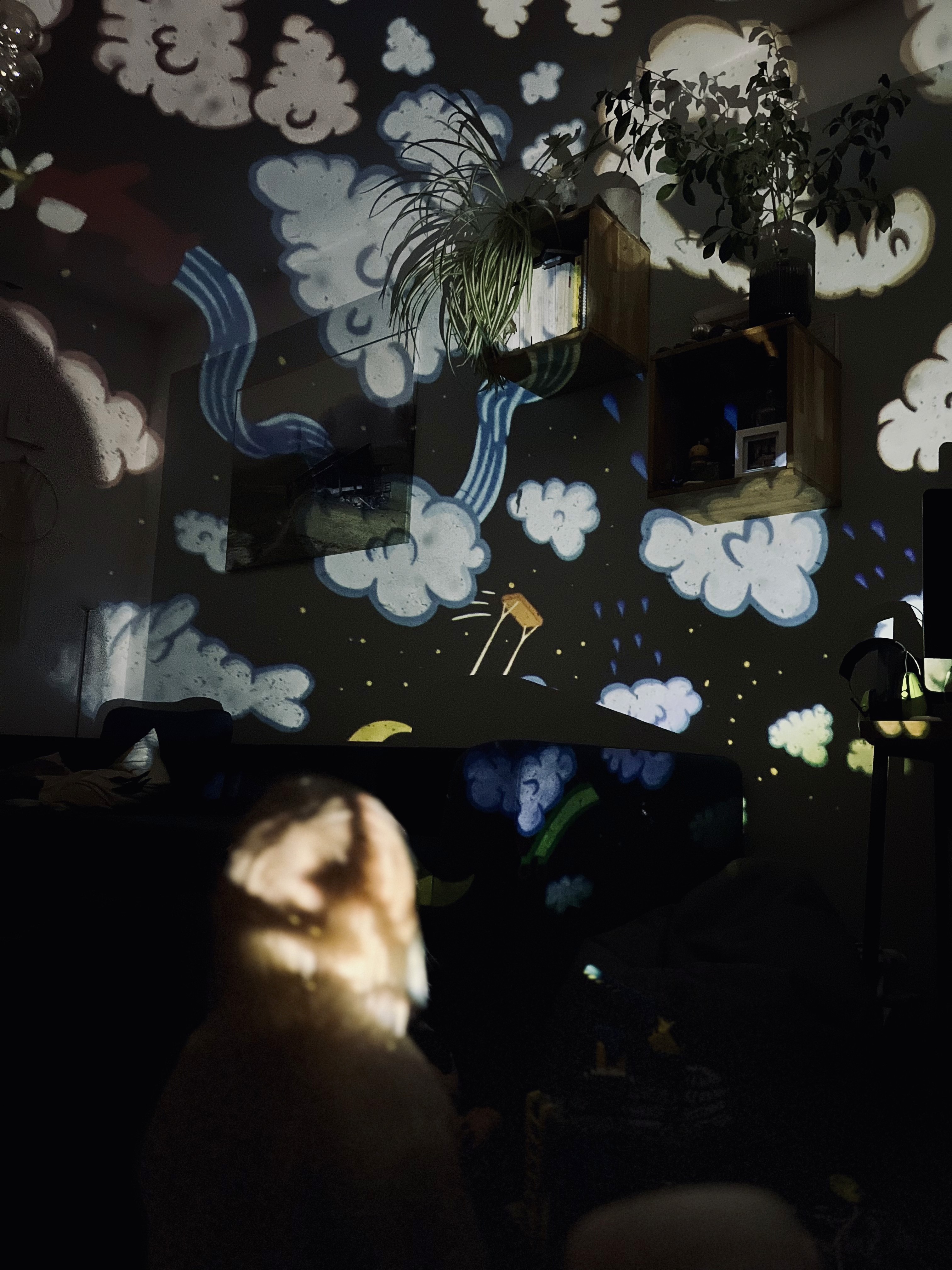 BiMA Kids Wolkenzoo im Kinderzimmer