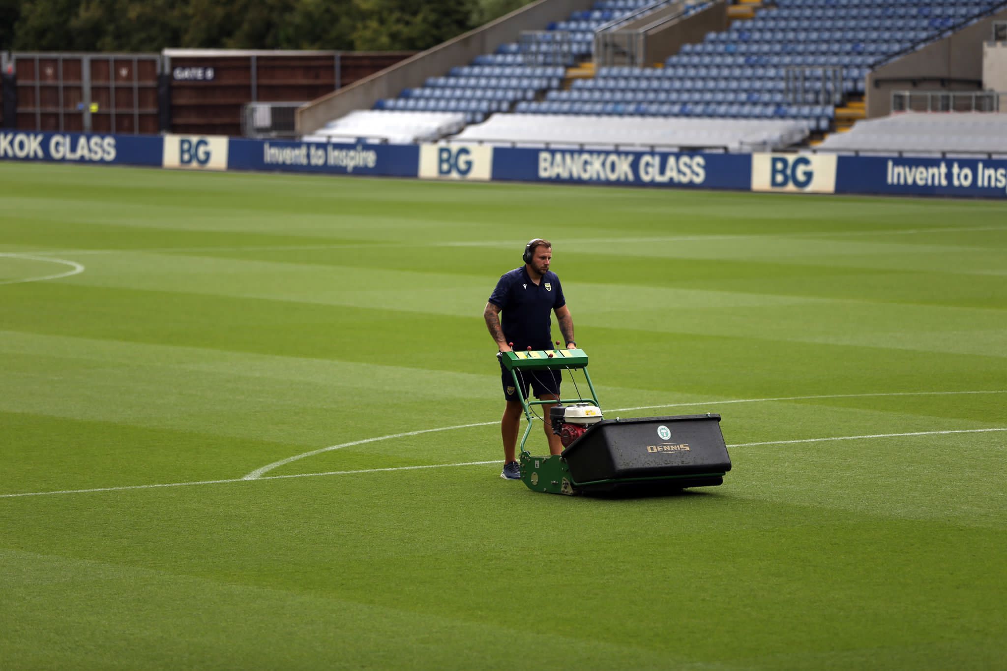 Path winding through a field of pink flowers