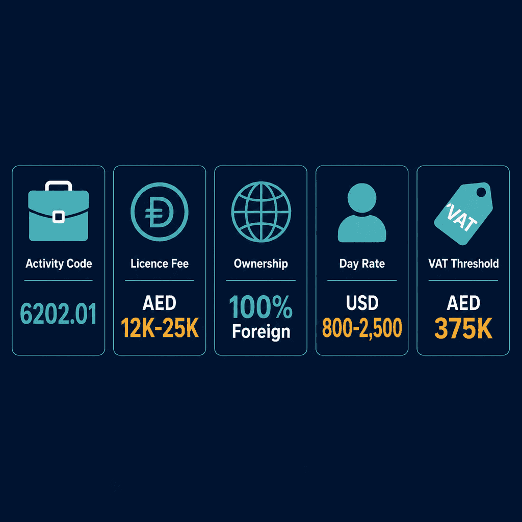 Infographic: Apply for a IT Systems Consultancy Business License in Dubai