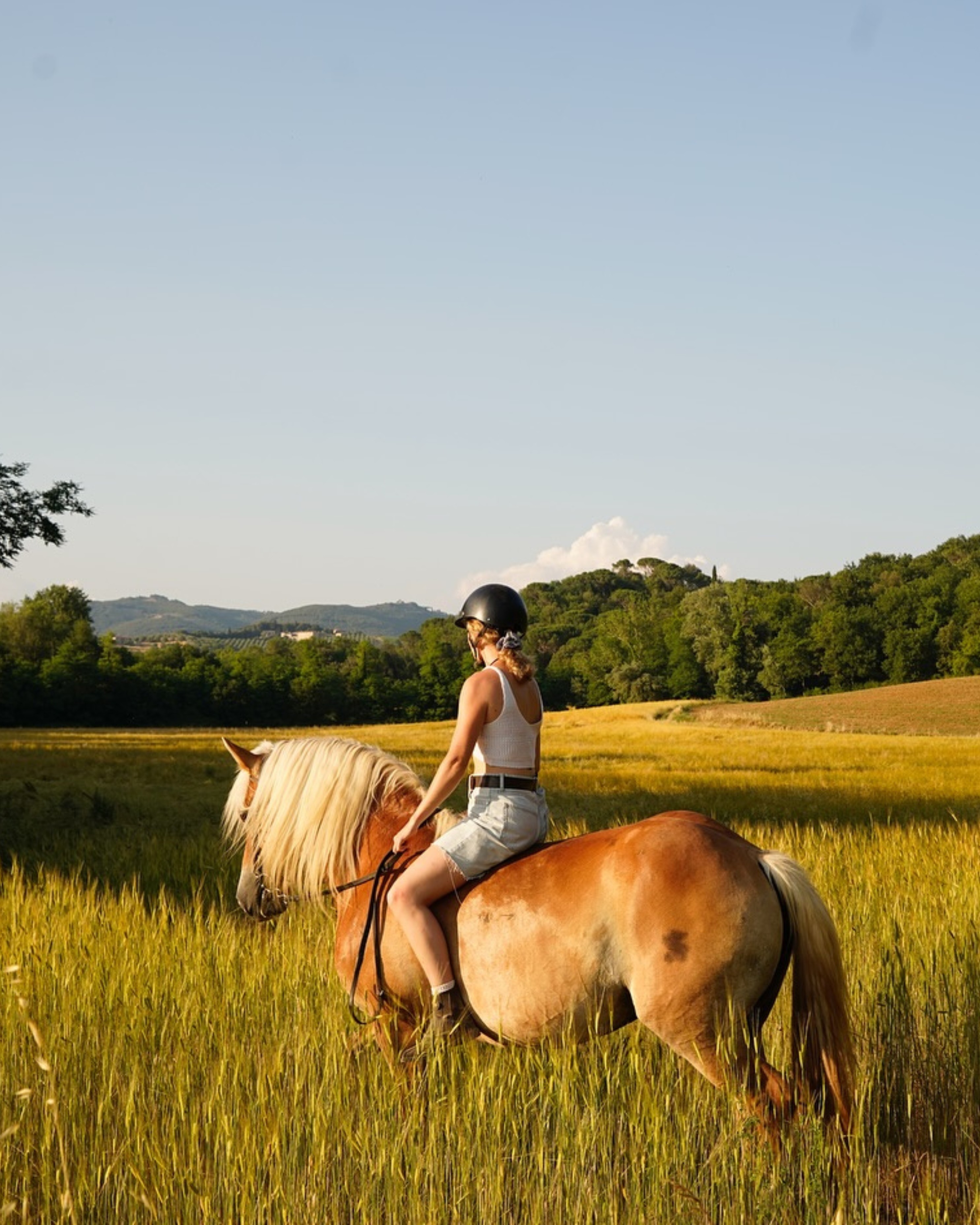 horse and luxury castle 