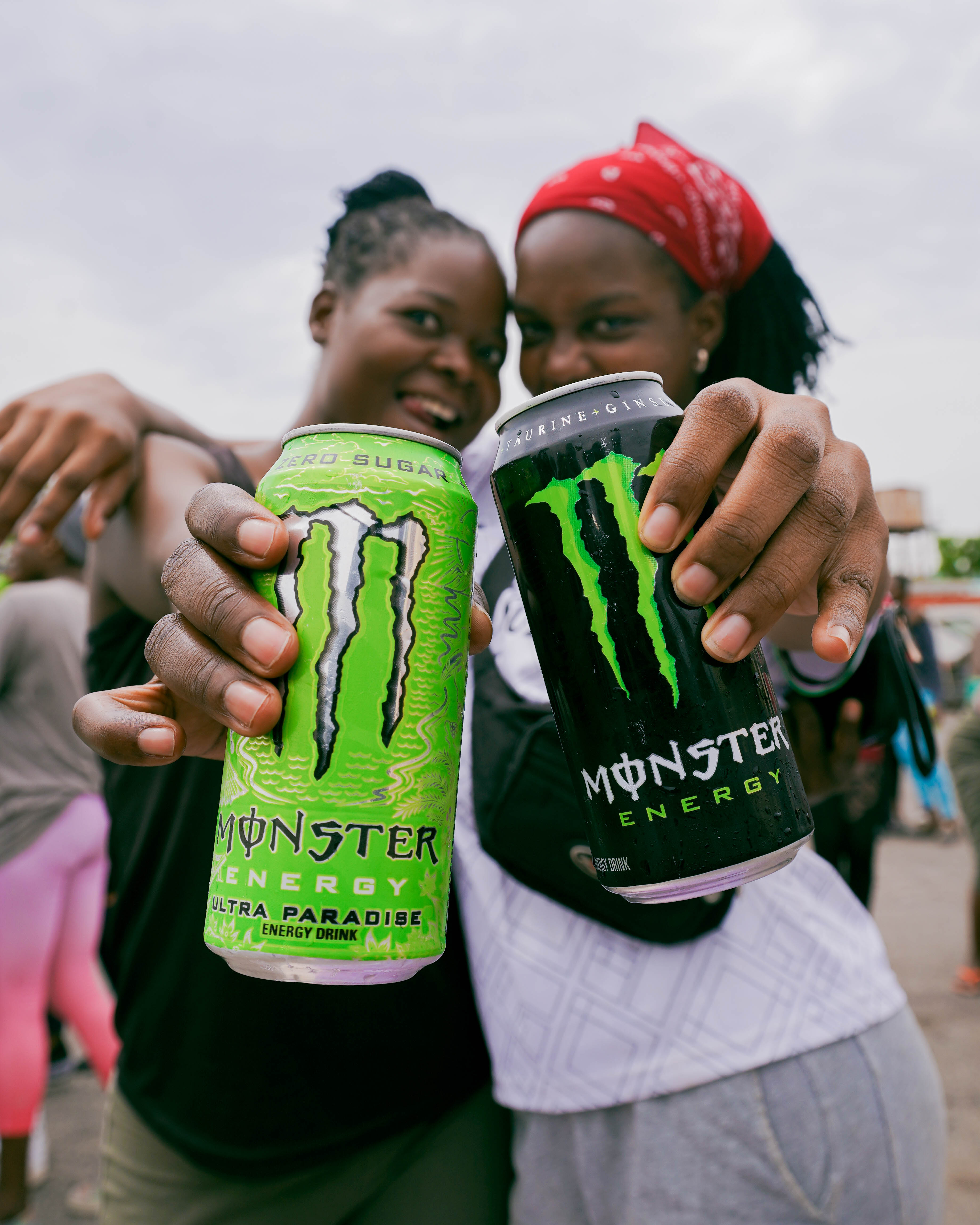 A lioness gazes intently in the warm sunlight.