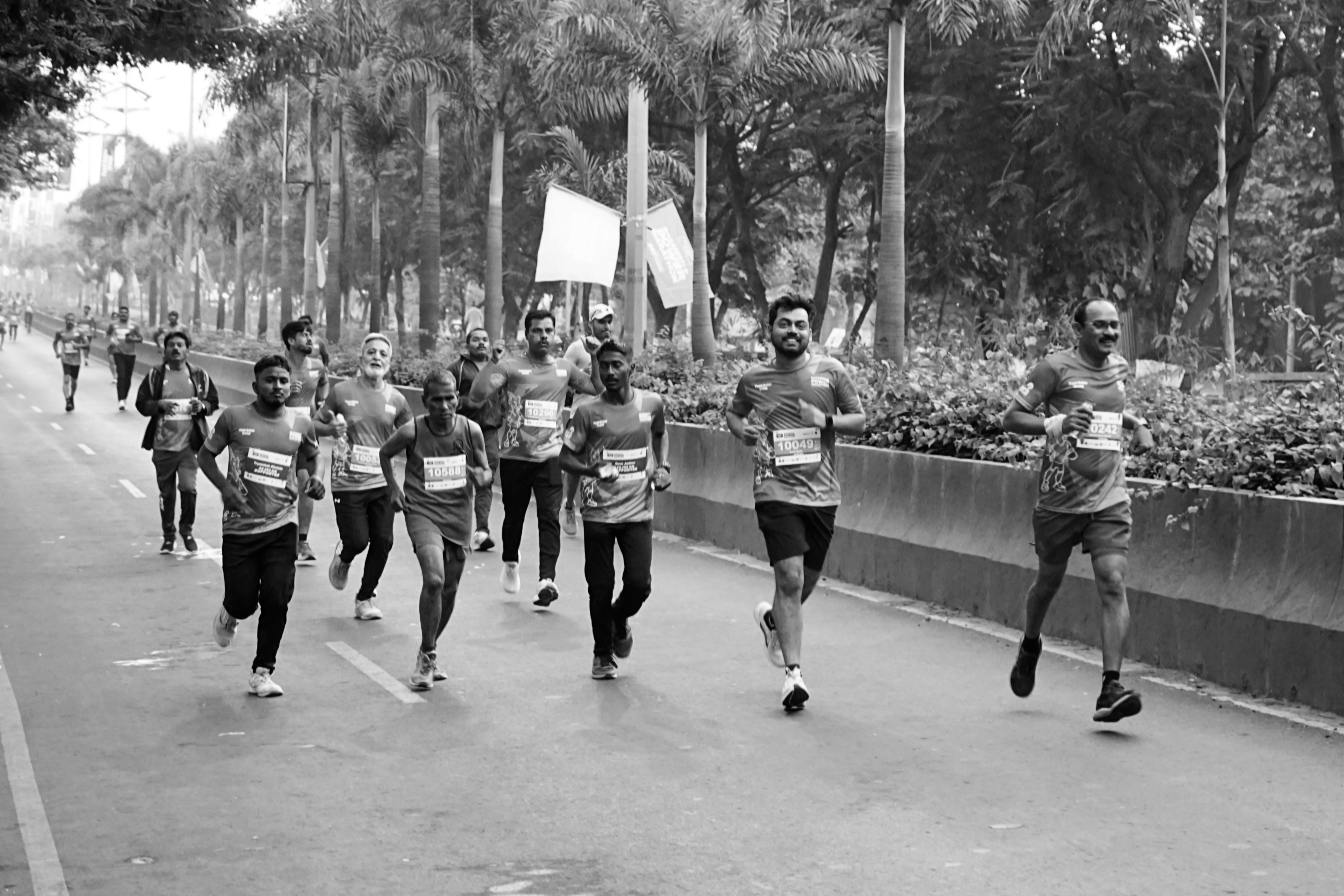 Close-up of joshua tree branches against a clear sky.