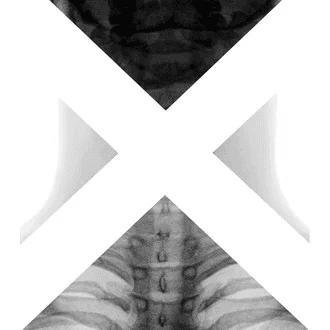 Xsection Dance and Science Film Festival