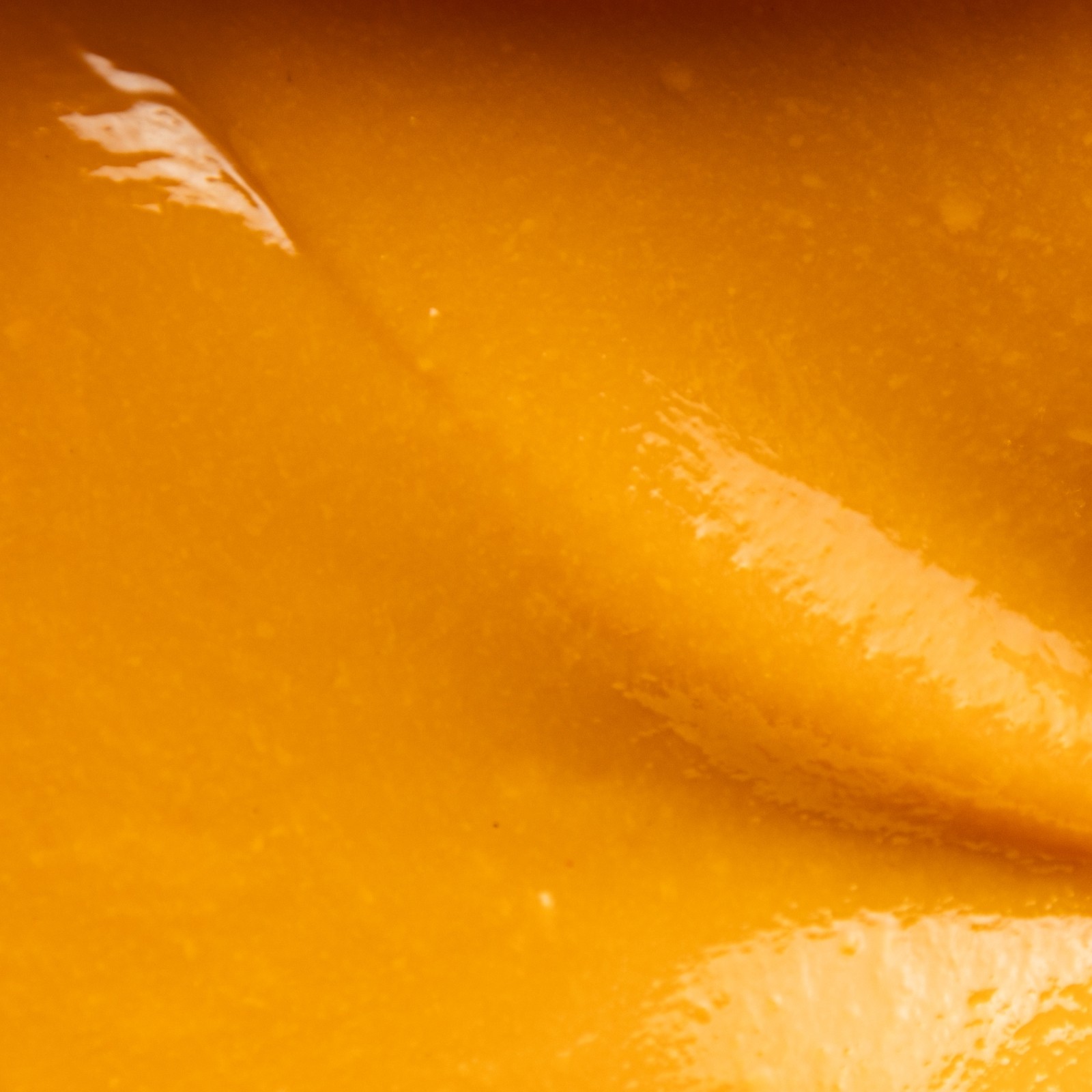 Mangue Caramanfruit - Utilisation professionnelle