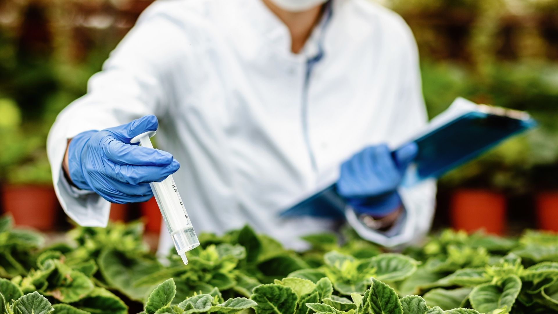 How Biological Control of Plant Disease Benefits Your Farm