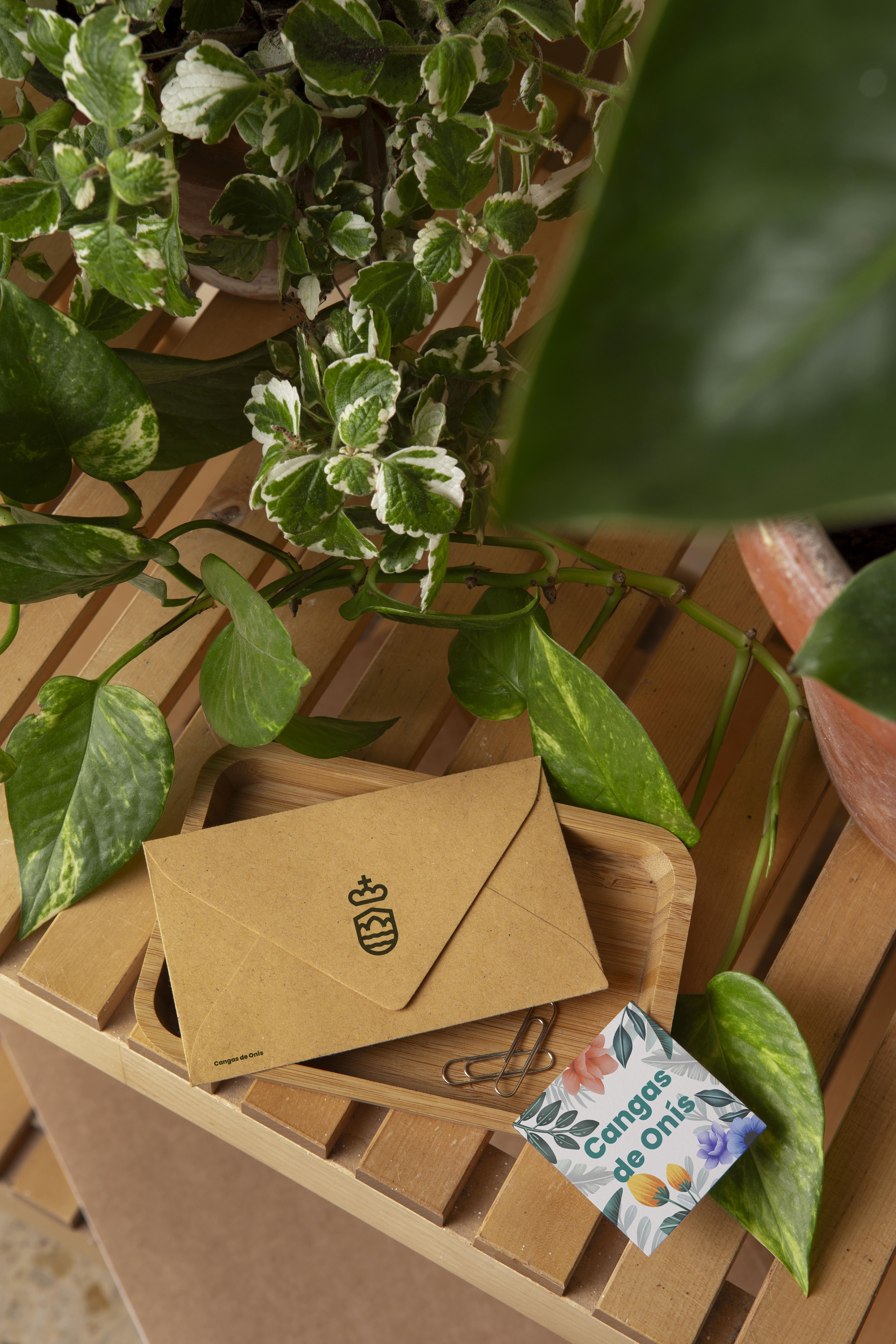 material identidad de marca internacional