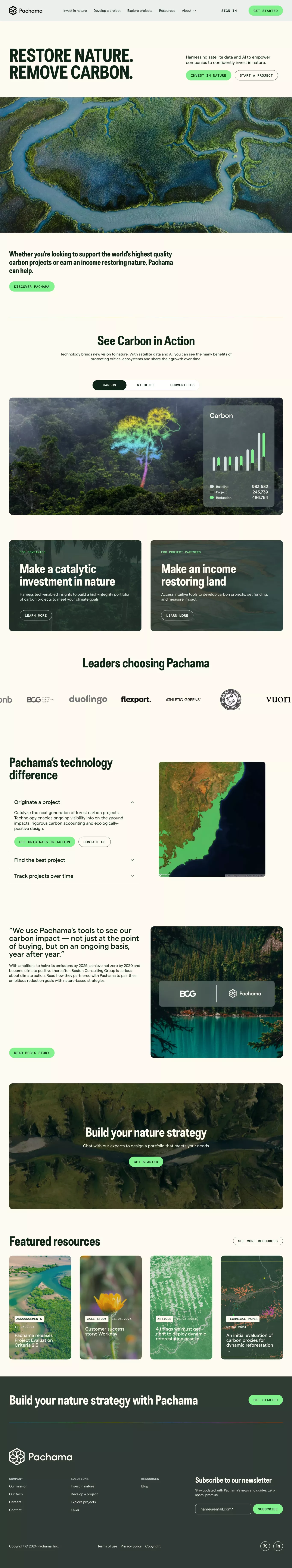 Pachama landing page screenshot showcasing Nature and AI design