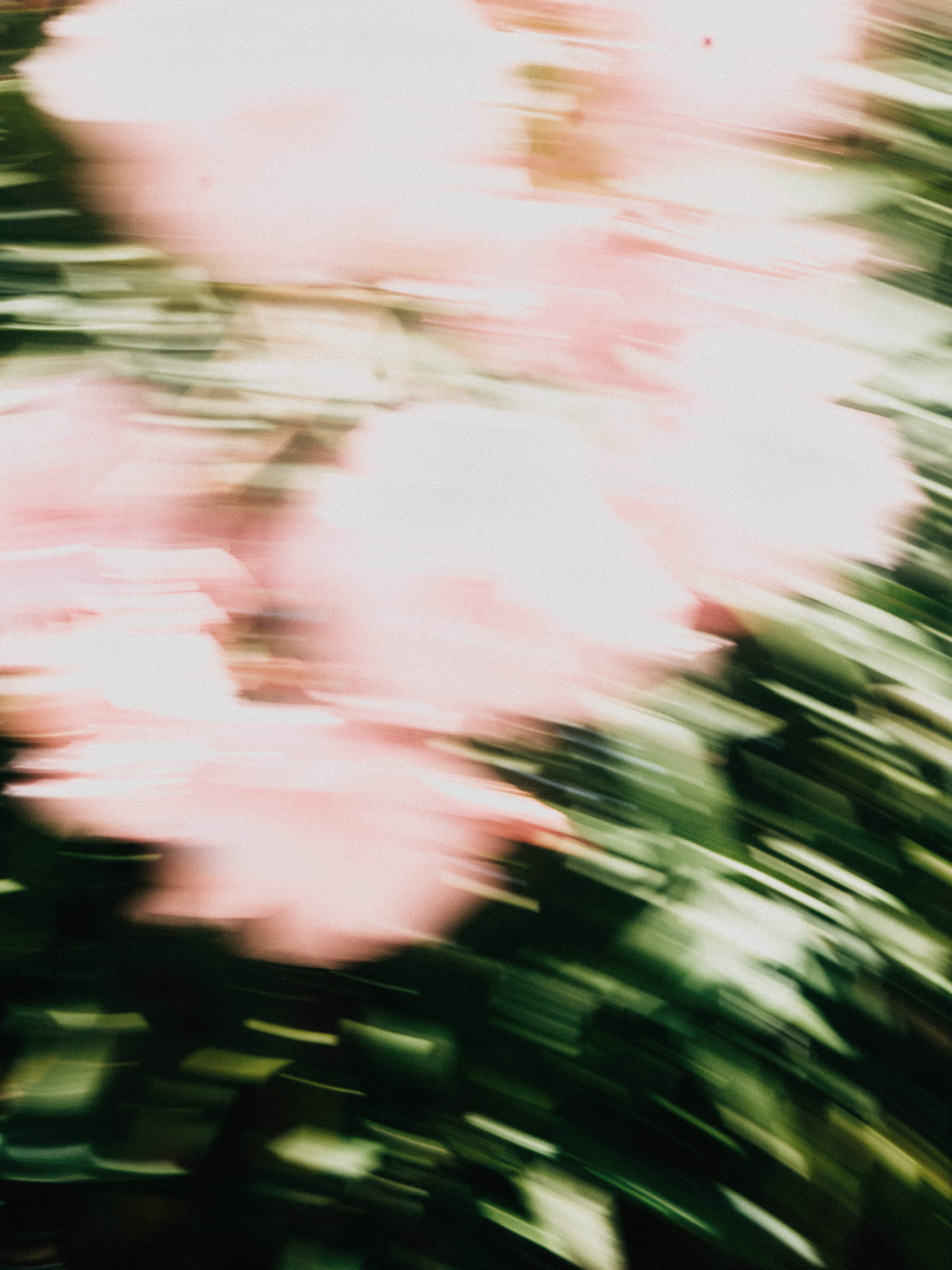 Hochzeitsfotografie Brautpaar Südbayern Blurry