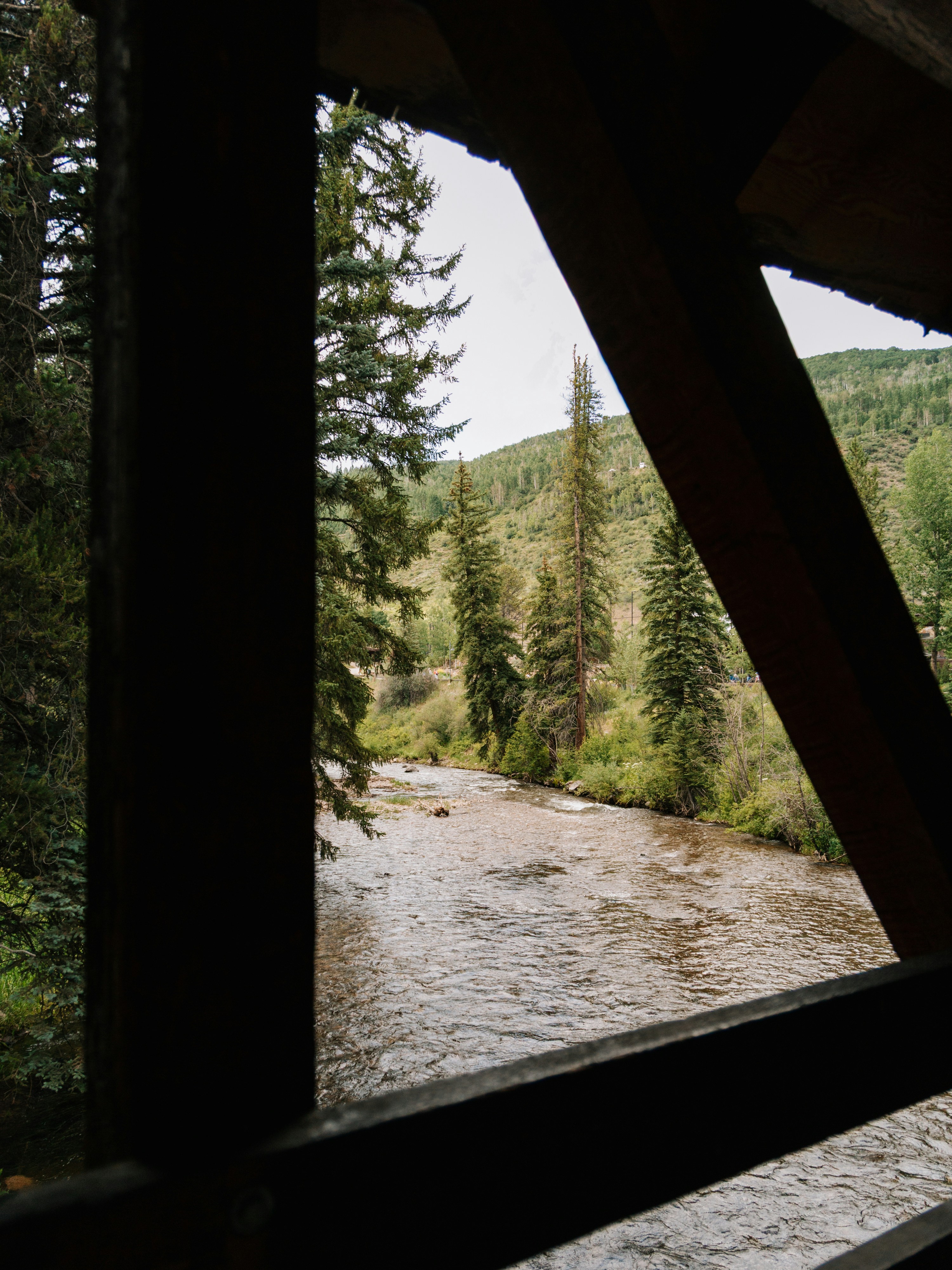 River flowing through a forest framed by wood