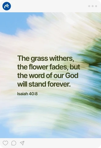 Social media post template