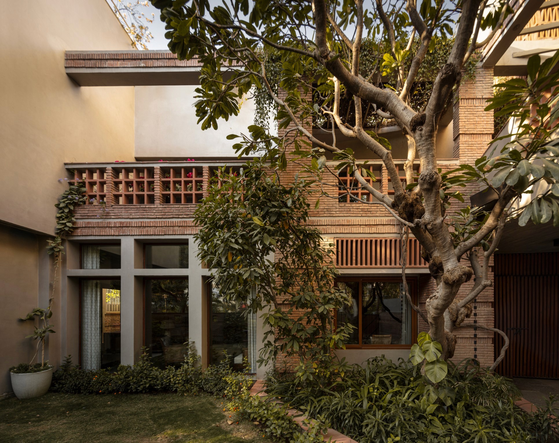 horzon lines Project