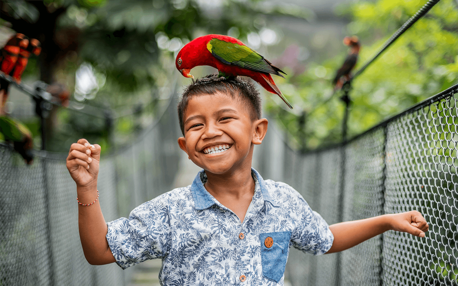 Bali Bird Park visitors observing vibrant parrots in lush tropical surroundings.