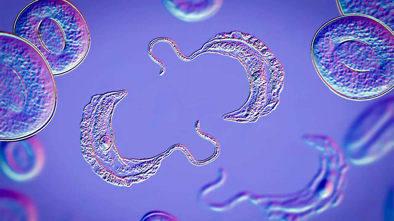 Premium UX Template for Framer