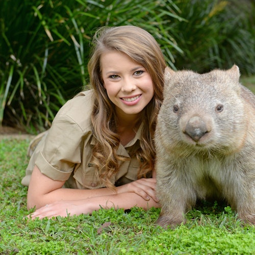 Wombat