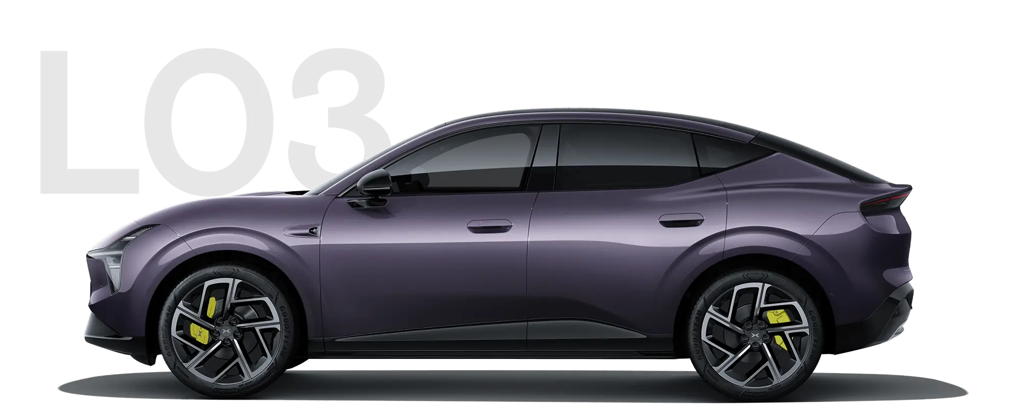 L03 — Phantom Purple