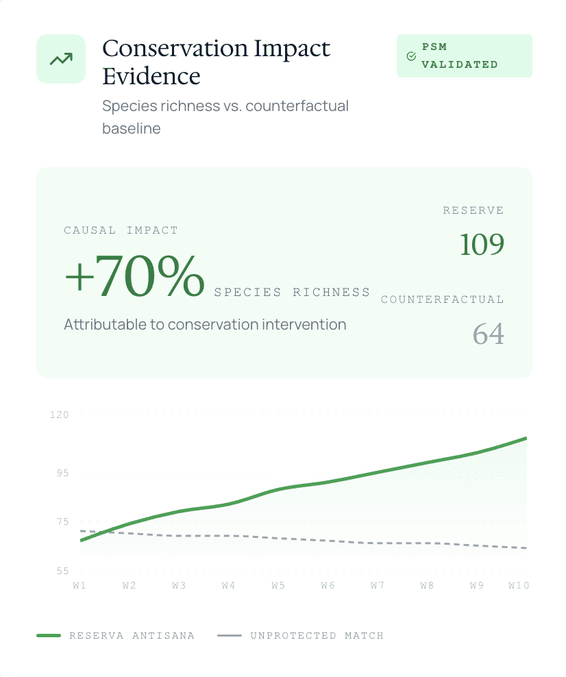 An image of Freelio's budget ui
