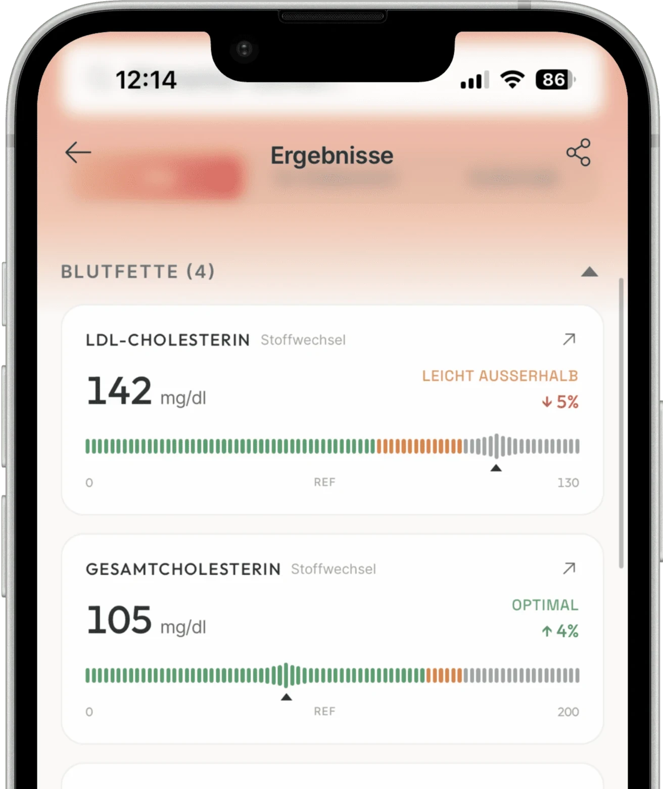 Damoi App: Ergebnisse