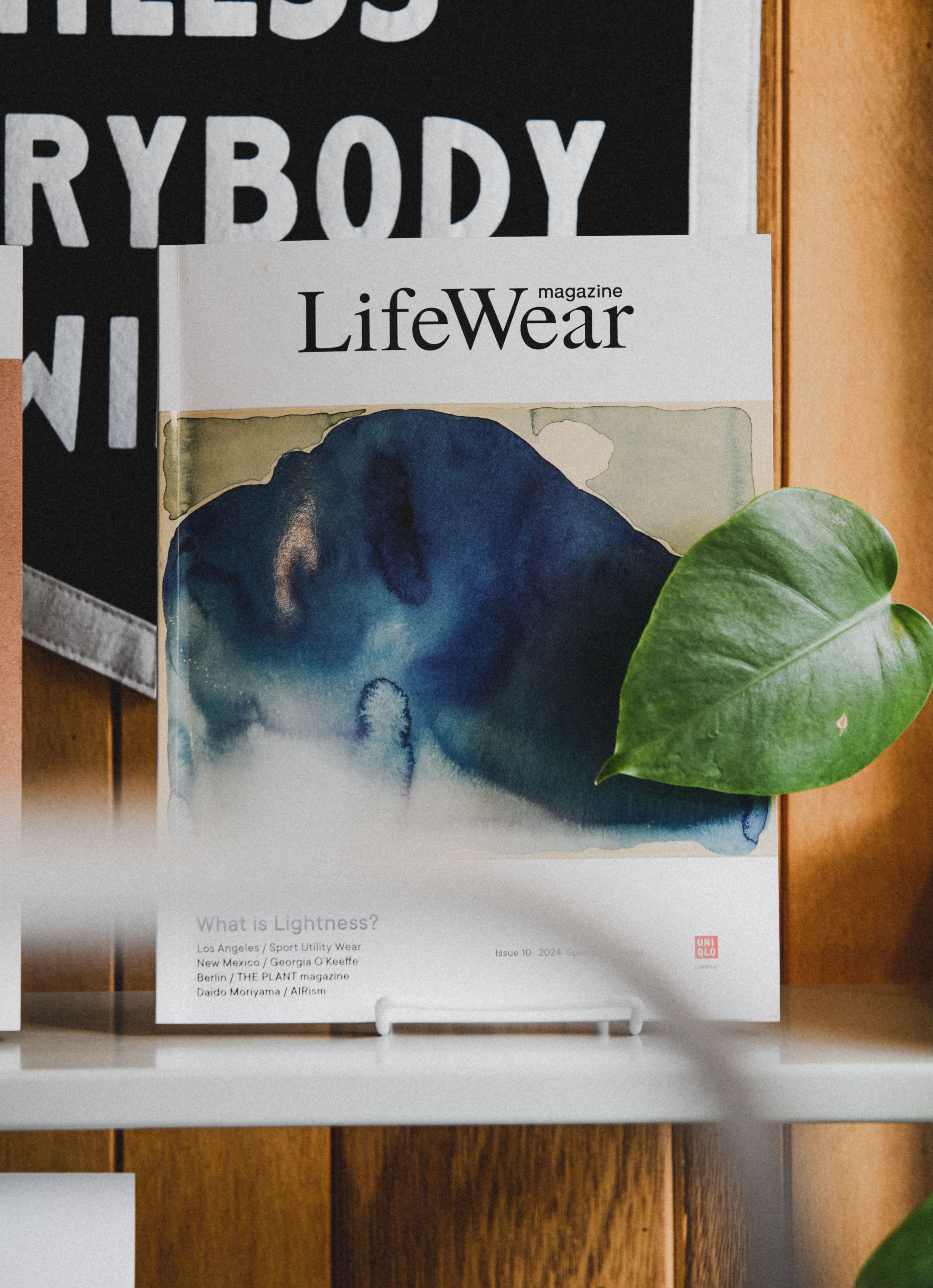 "LifeWear Magazine"