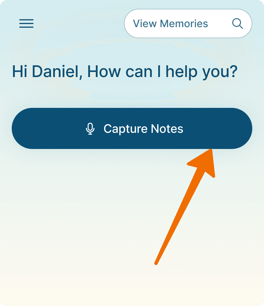 Capture notes.png