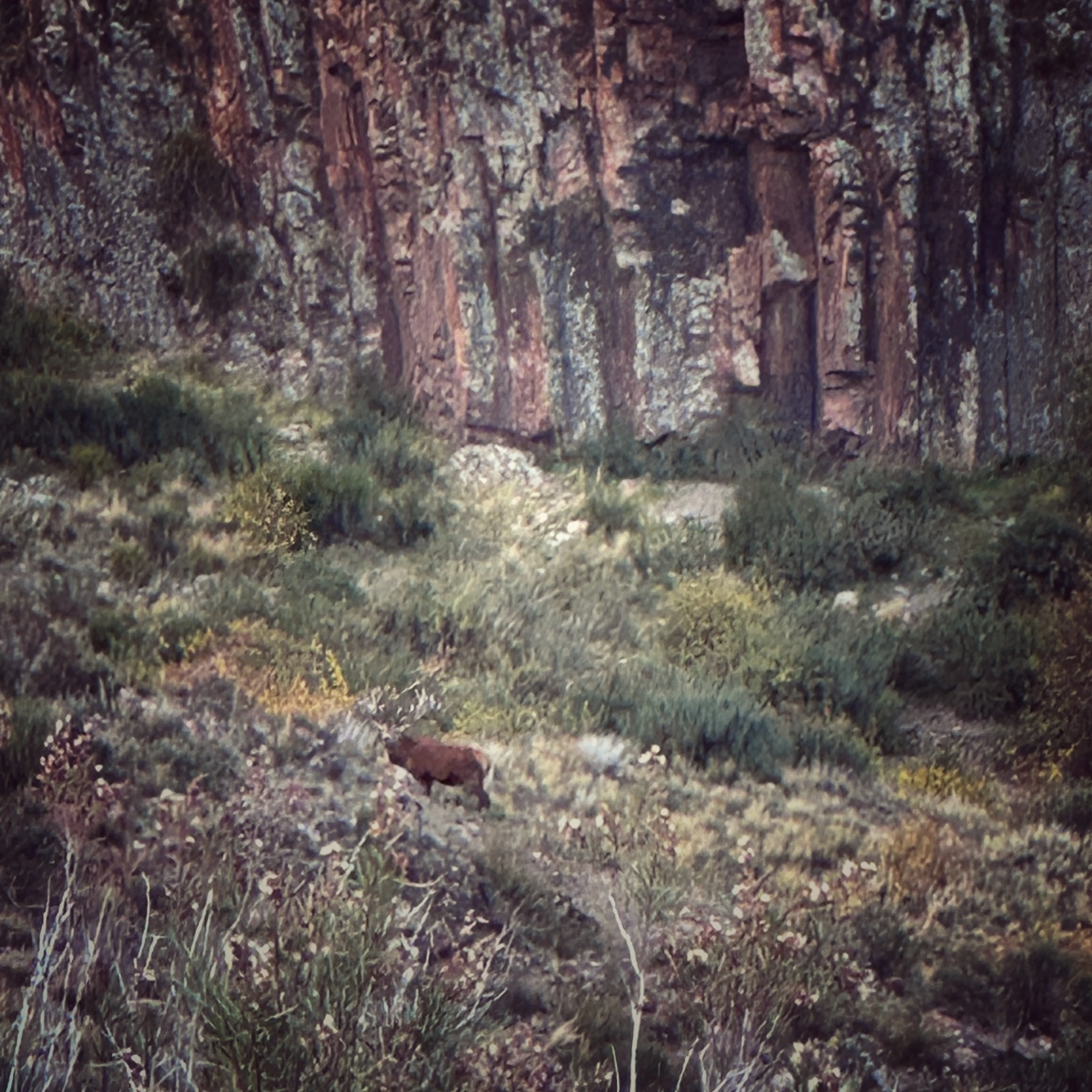 Gallery image 6