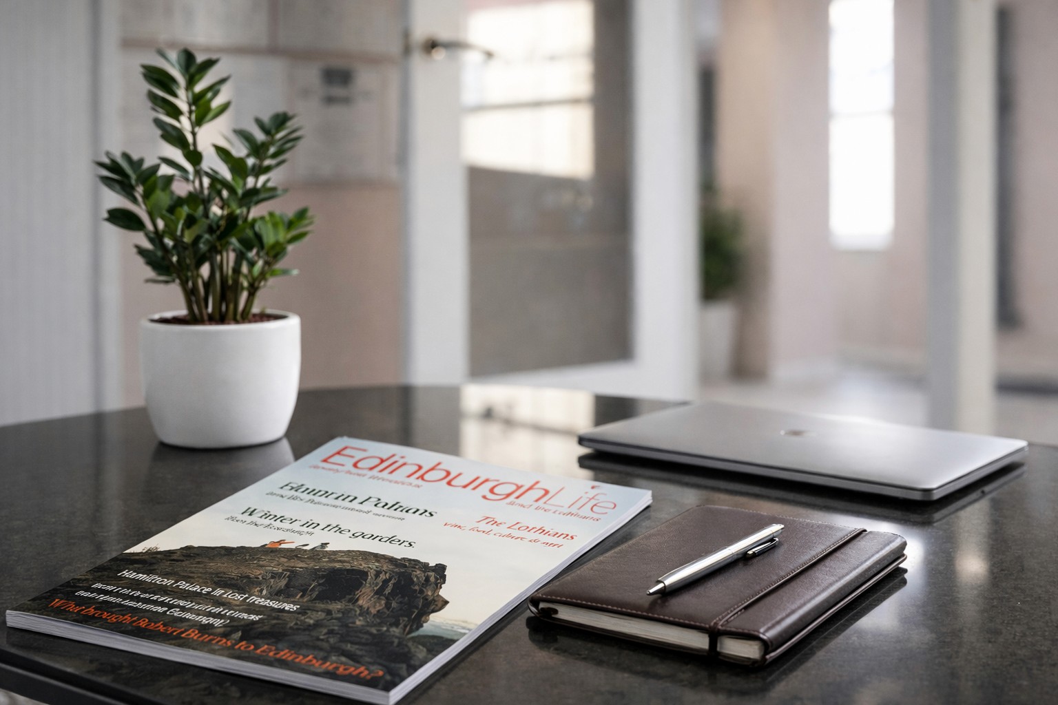 Dunedin property management consultation