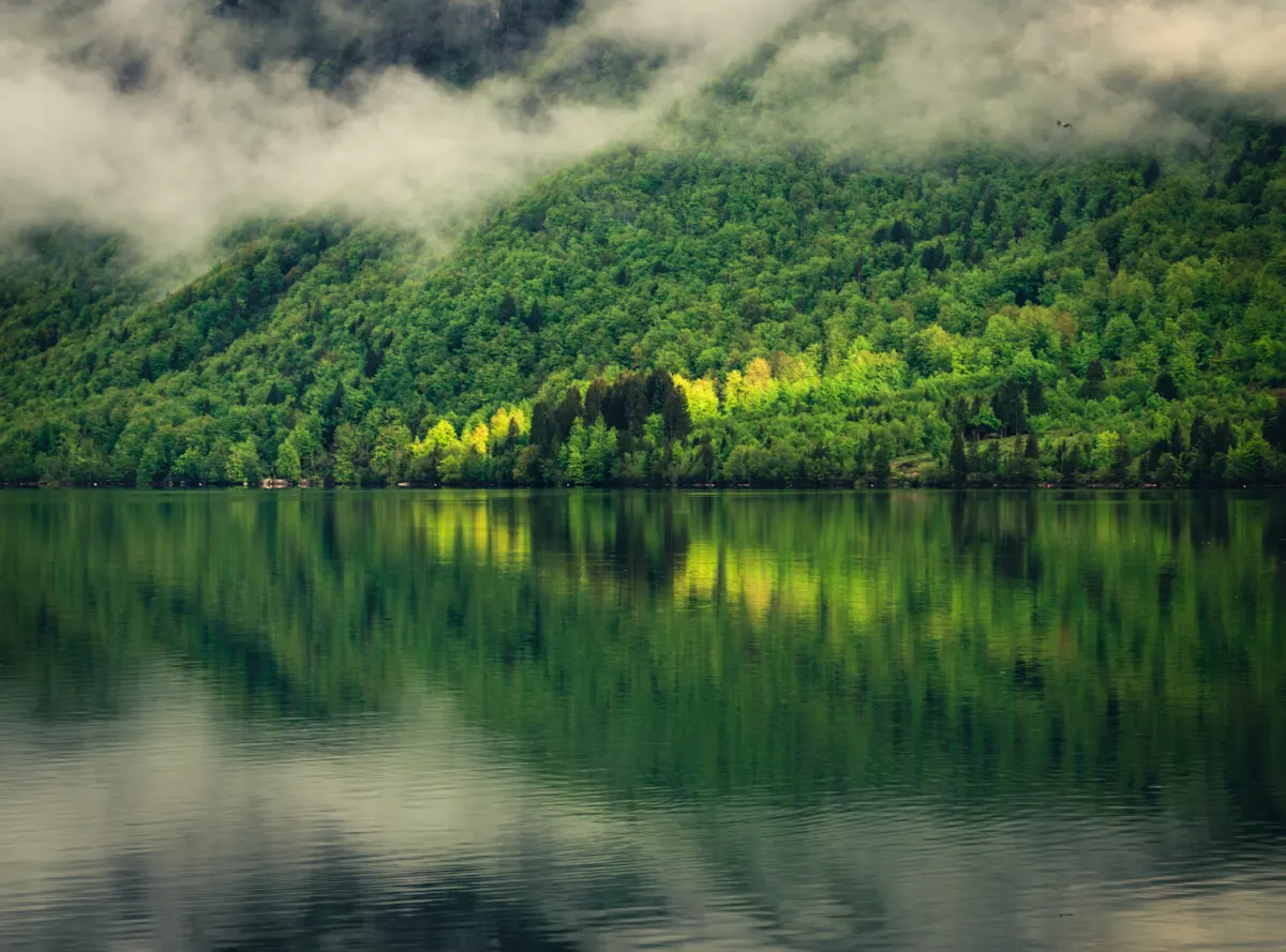 Lake Bohinj in Slovenia, with green forest reflecting in crystal clear water.
