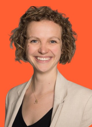 Close-up of a dark green leaf showing its textured surface and central vein against a muted background.
