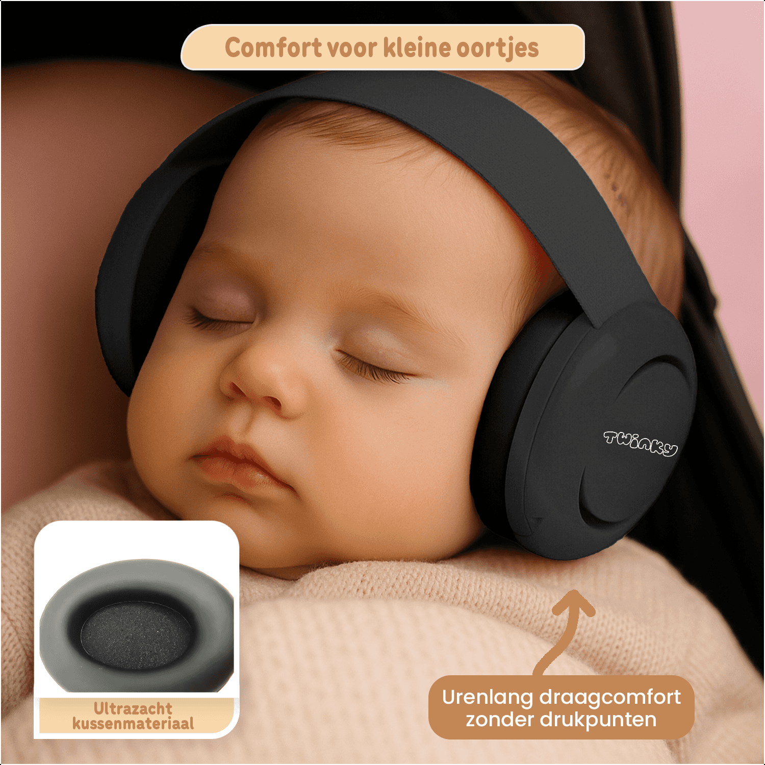 Close-up of a tree stump showing growth rings and a textured brown wood surface.