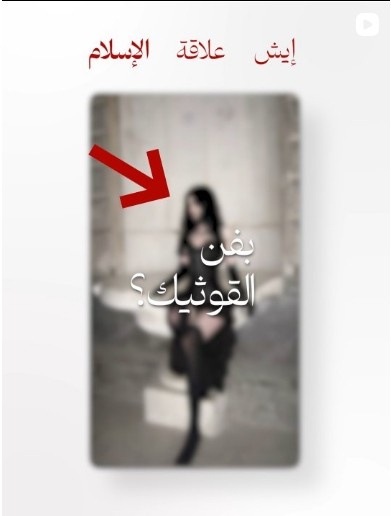 Close-up of a dark green leaf showing its textured surface and central vein against a muted background.