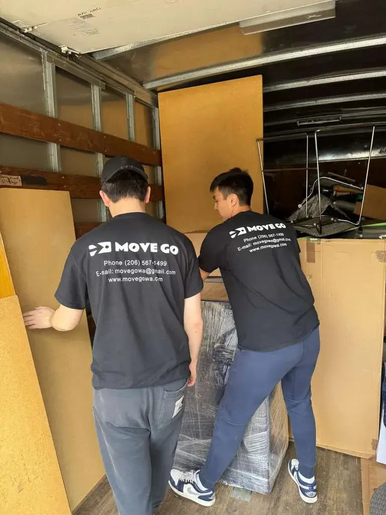 Professinal Moving Team