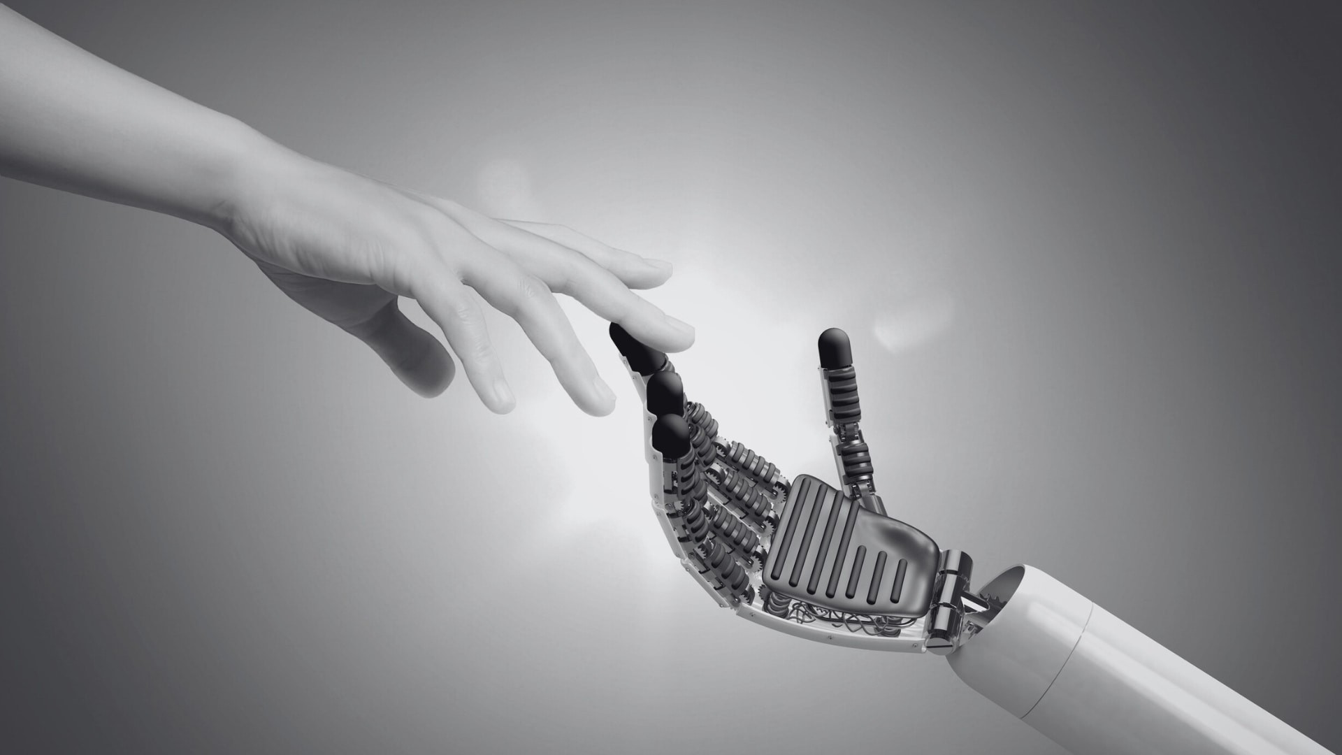 Tree branches reach towards a clear, blue sky.