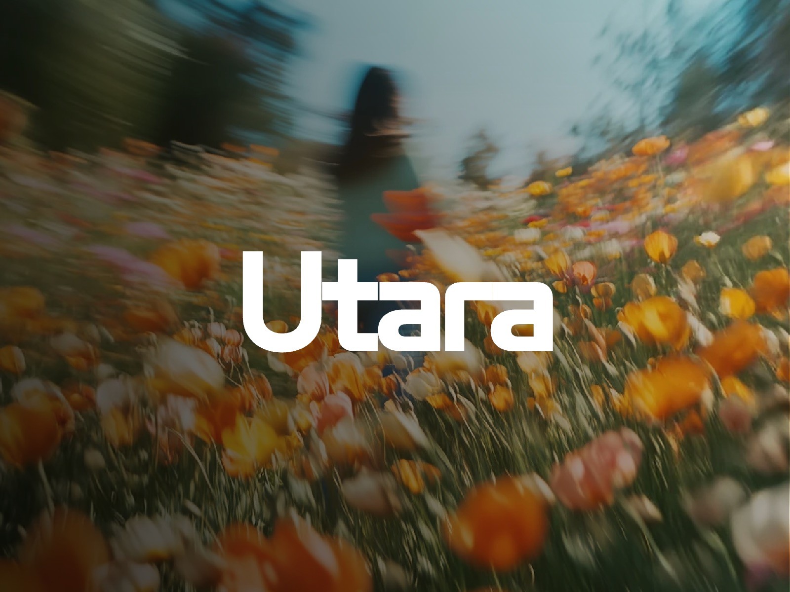 20+ Best New Fonts for Framer Templates & Modern Website Design